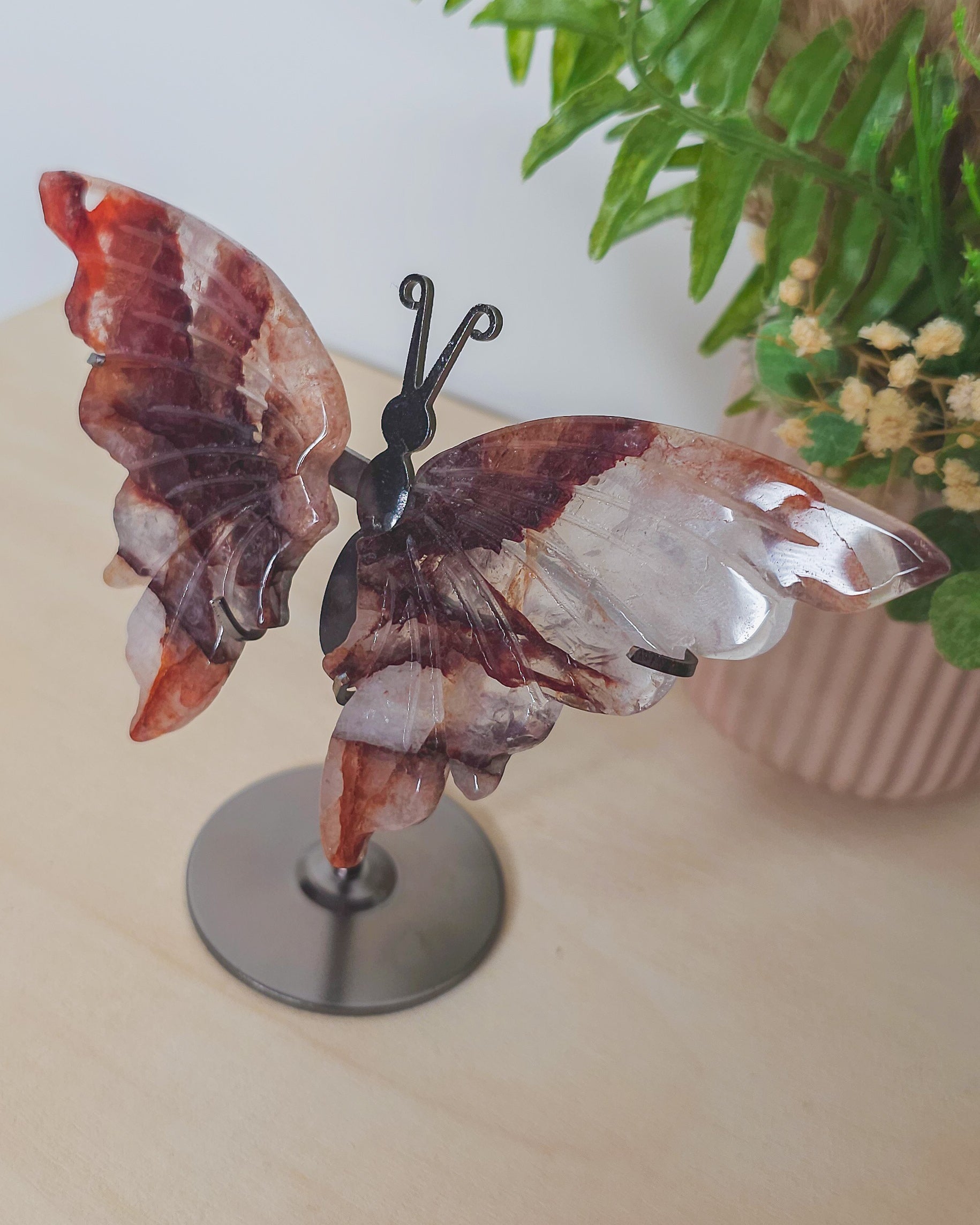 Close-up of Fire Quartz butterfly wing showing fiery inclusions inside transparent quartz, representing clarity, empowerment, and emotional alchemy.