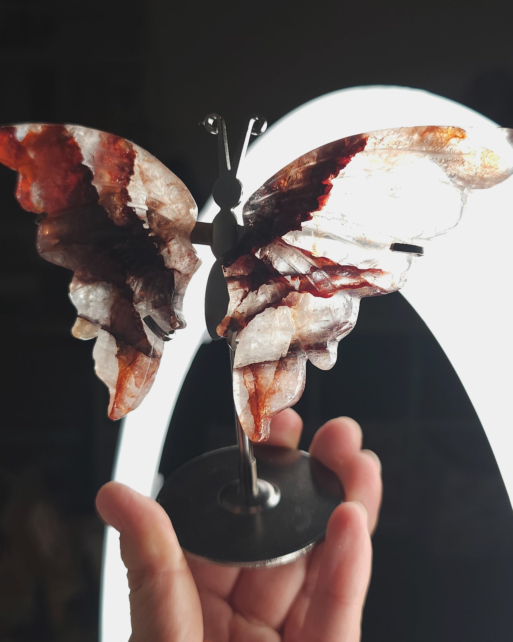 Fire Quartz butterfly wings on metal stand, featuring red Hematite inclusions in clear quartz, symbolizing transformation, strength, and focus.
