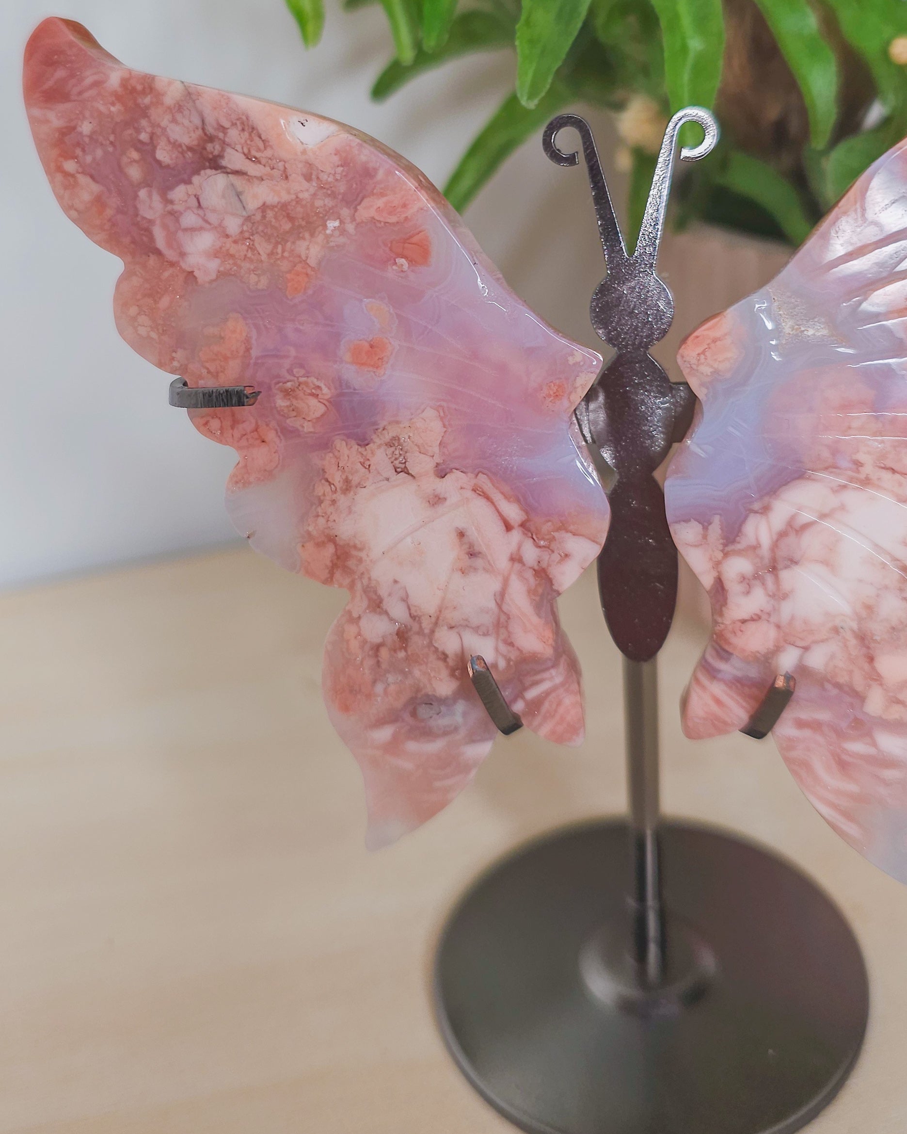 Close-up of one Cotton Candy Agate butterfly wing, showing intricate banding and subtle variations in pink tones with a smooth, polished surface.