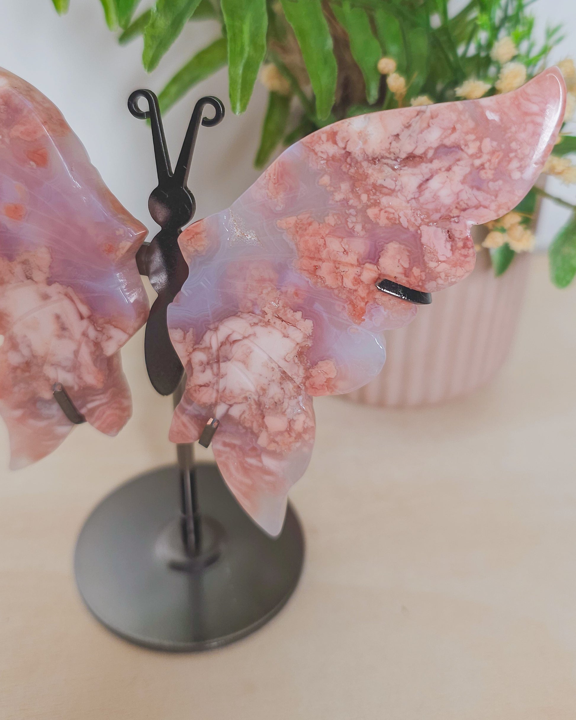 Close-up of one Cotton Candy Agate butterfly wing, showing intricate banding and subtle variations in pink tones with a smooth, polished surface.