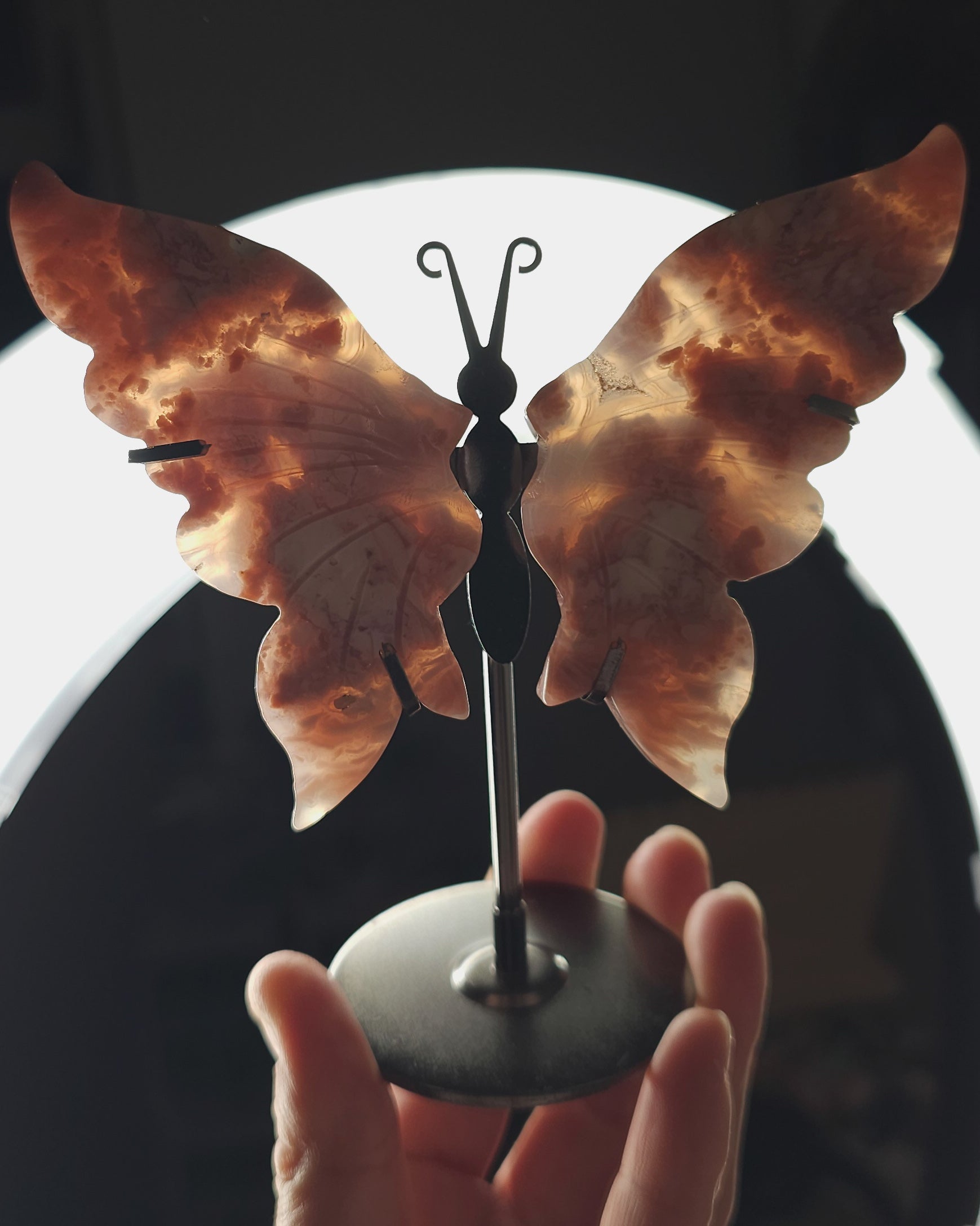  view of the Cotton Candy Agate wings on stand, showcasing the natural patterns and symmetrical shape of the carved wings