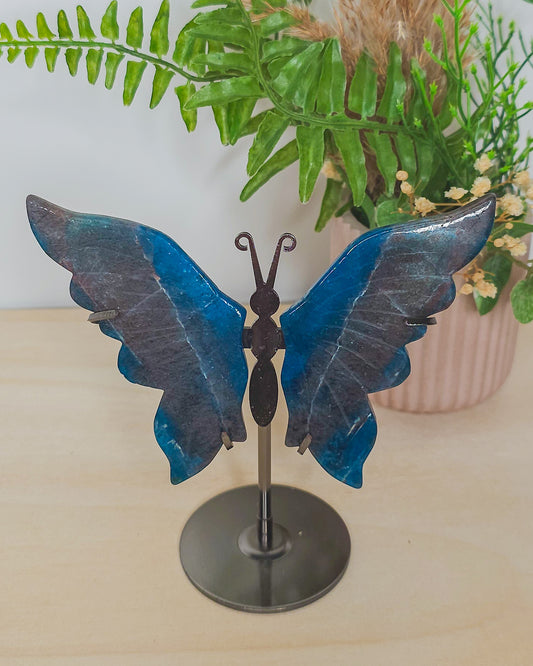 Blue Apatite Butterfly Wings on Stand