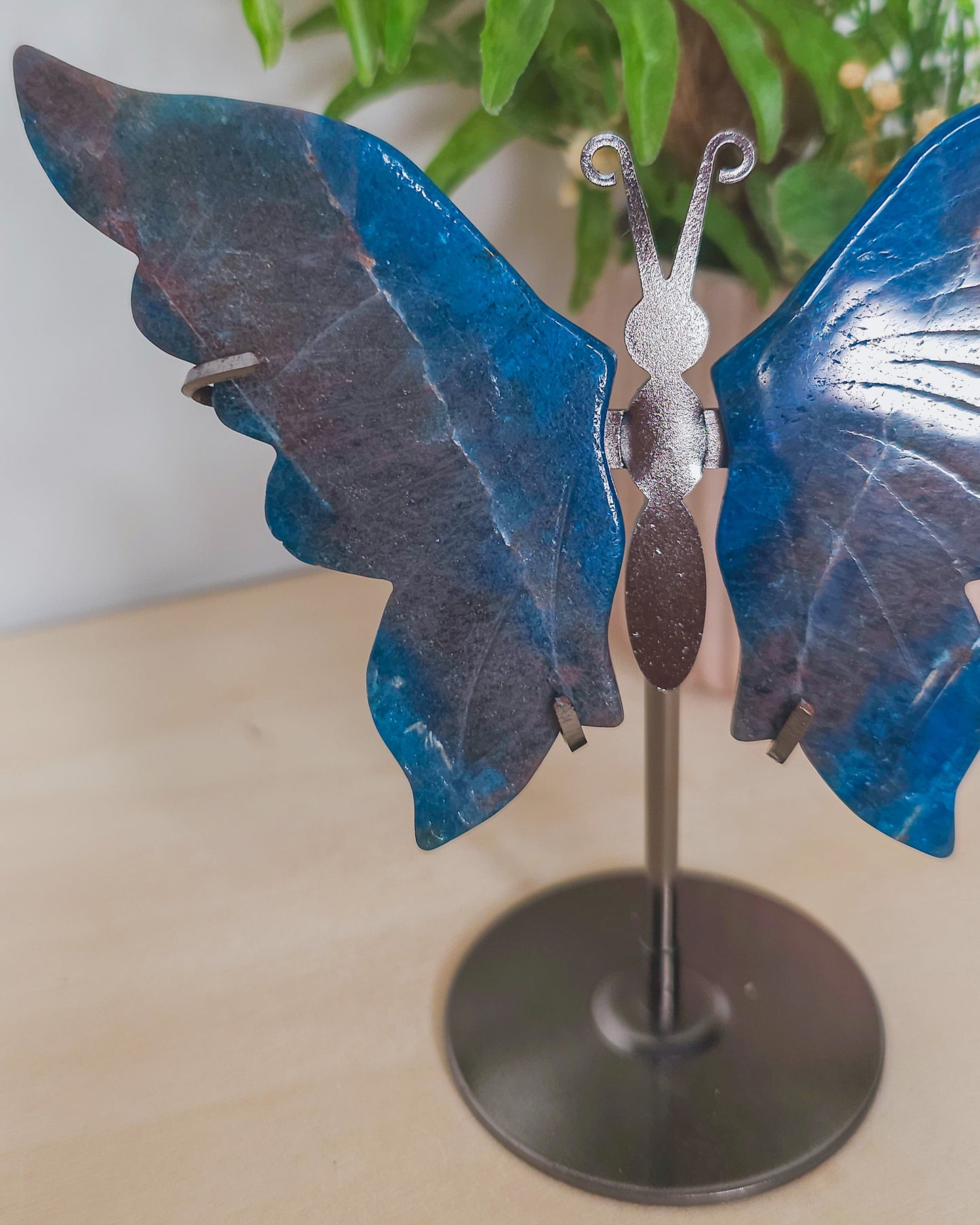 Blue Apatite Butterfly Wings on Stand