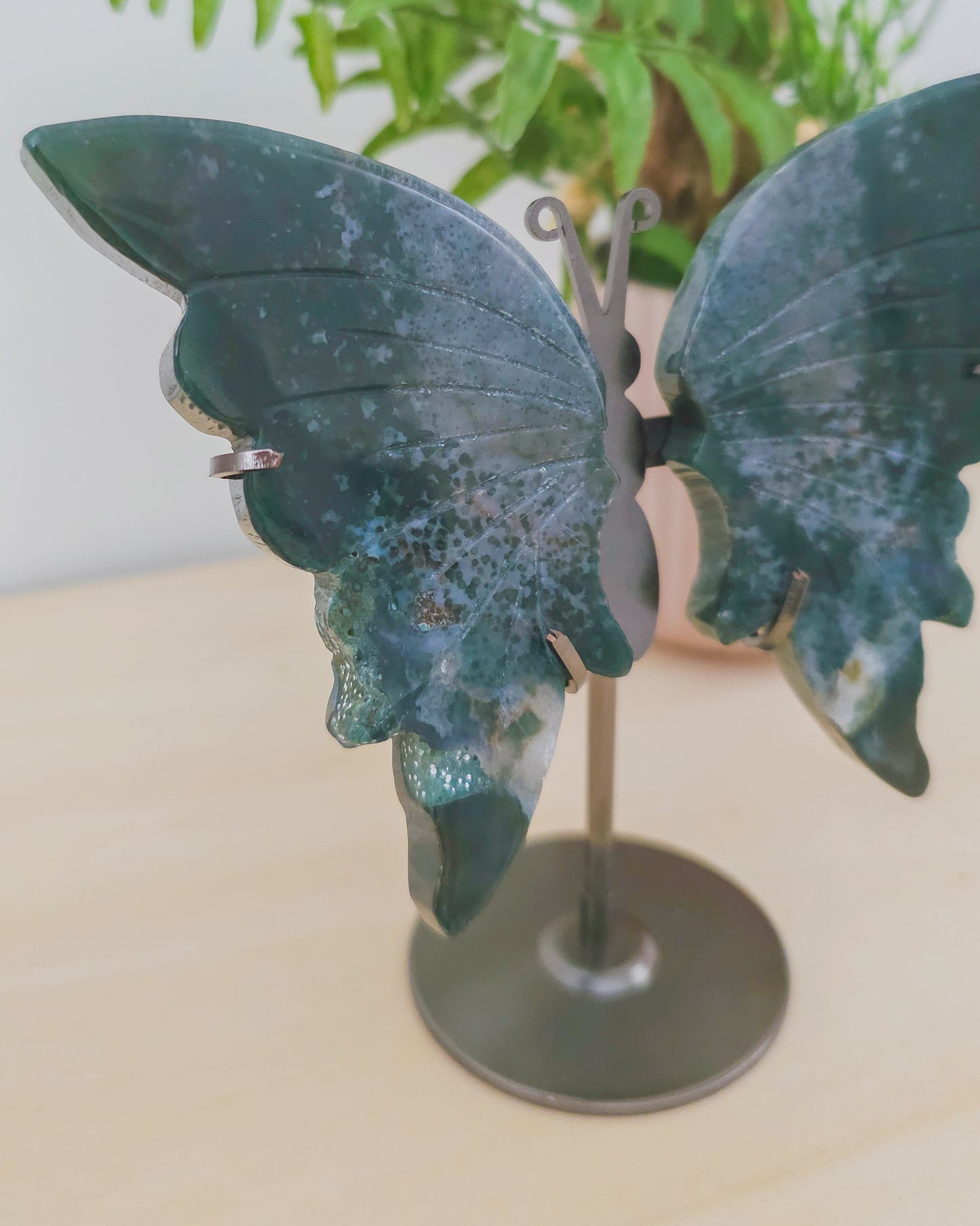 Jasper Butterfly Wings on Stand