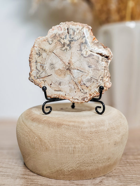 Natural petrified wood slab showing fossilized tree grain in earthy brown tones, polished stone formed from ancient wood