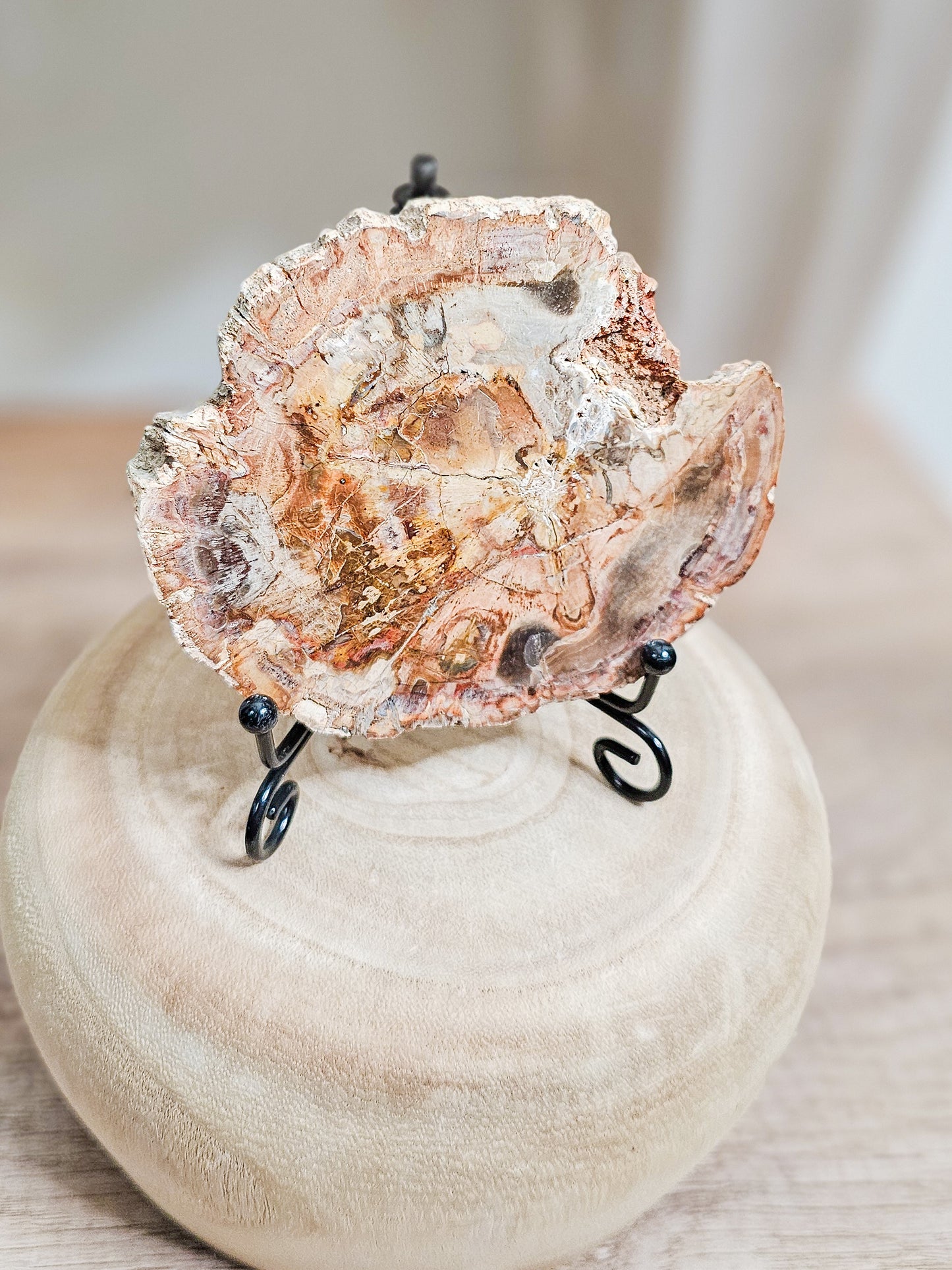 Petrified wood slab with visible fossilized wood grain, grounding earth stone formed over millions of years