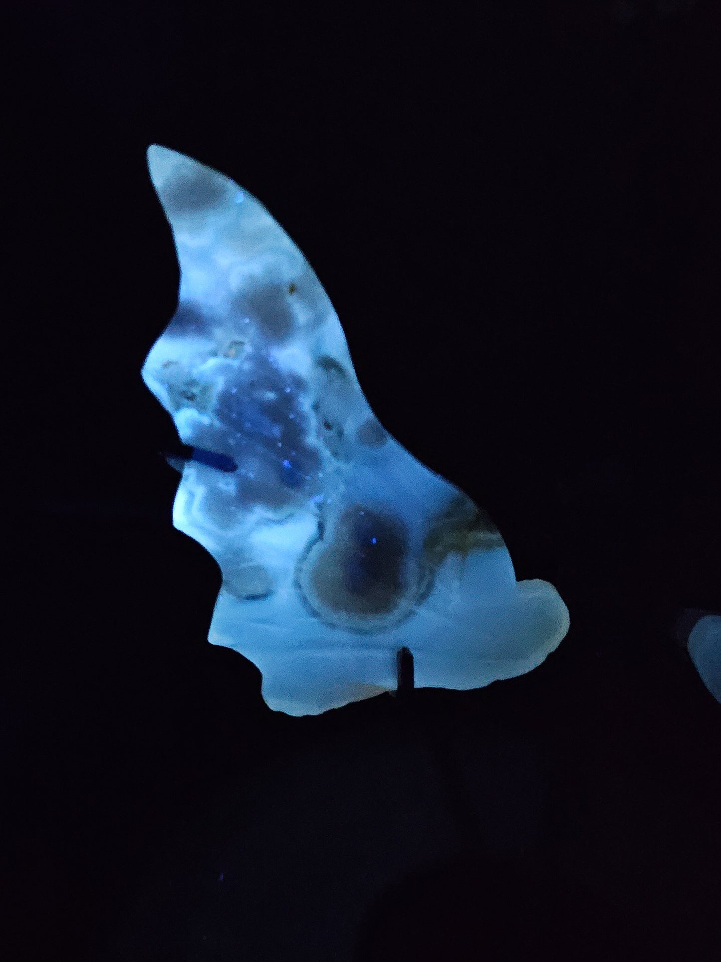 Fluorescent Flower Agate Dragon Wings on Stand