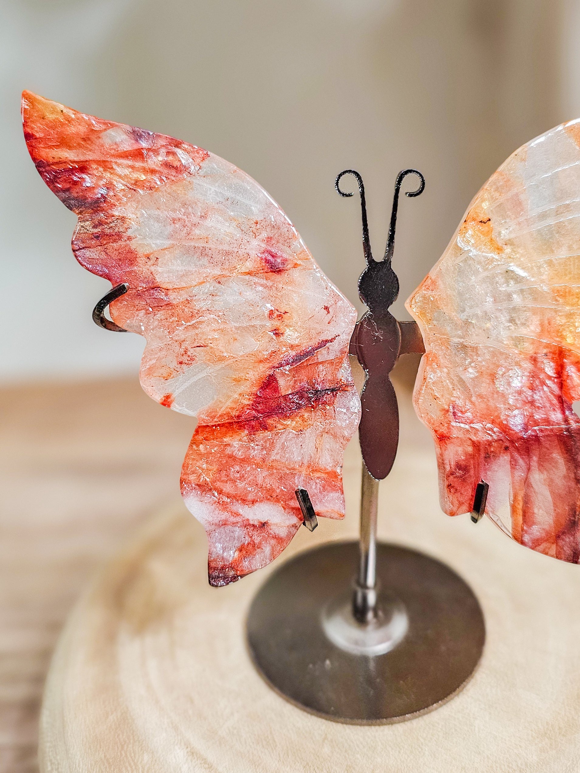 Butterfly wings in fire Quartz  with red and clear wings on a neutral background