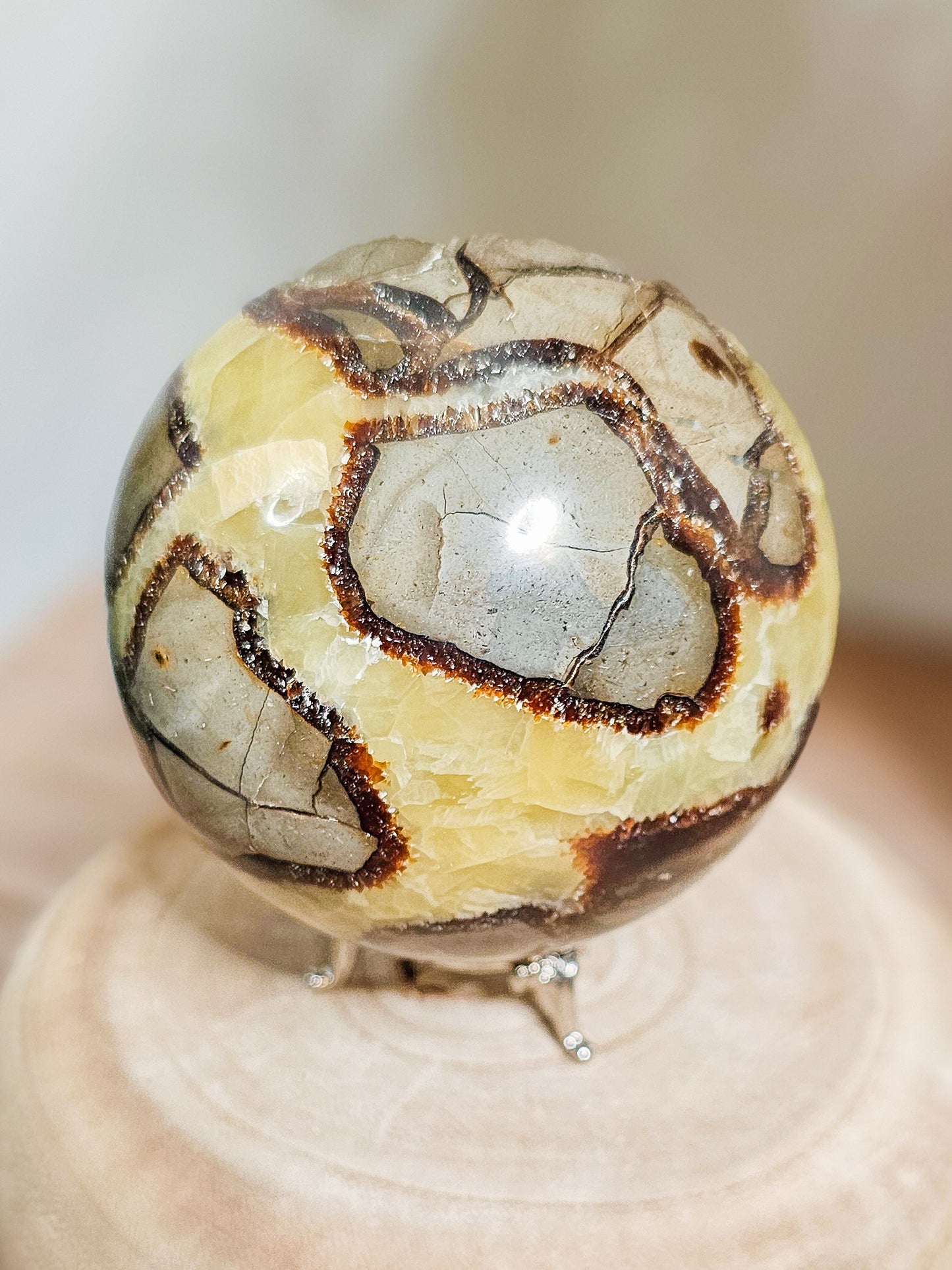 Close-up of Fluorescent Septarian sphere showing yellow Calcite veins and natural Aragonite patterns