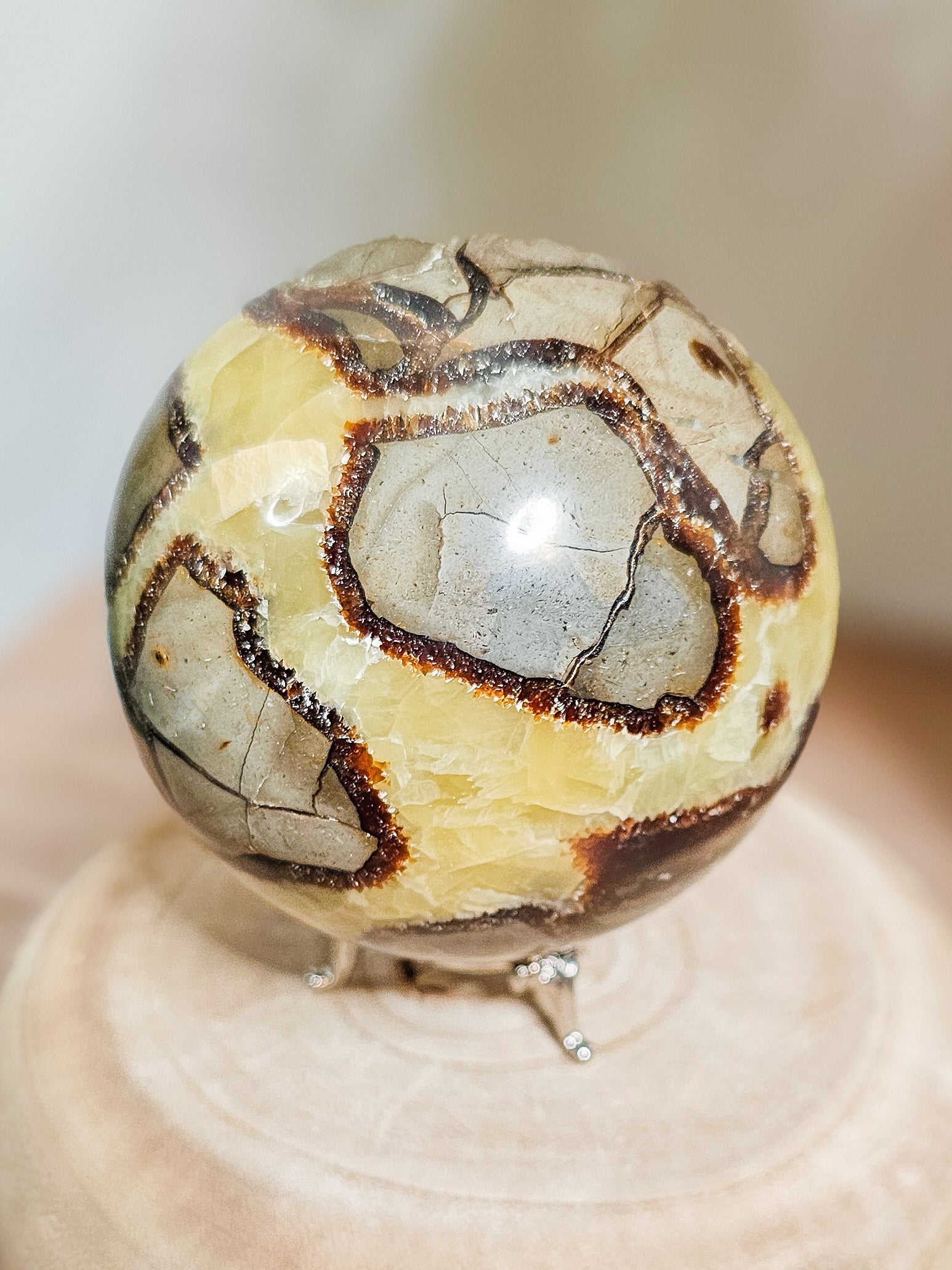 Close-up of Fluorescent Septarian sphere showing yellow Calcite veins and natural Aragonite patterns