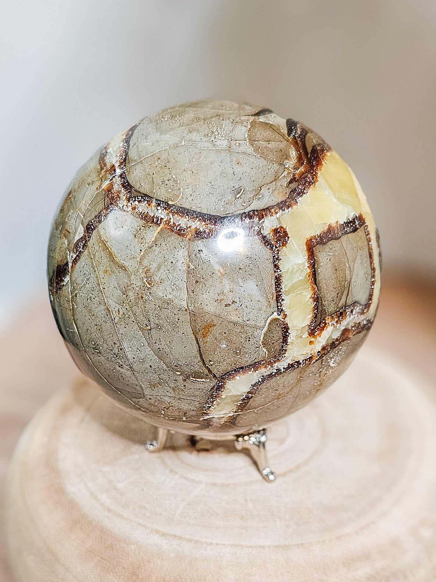 Natural Sedimentary Septarian sphere with brown, grey, and yellow tones, highlighting internal cracks and fluorescence