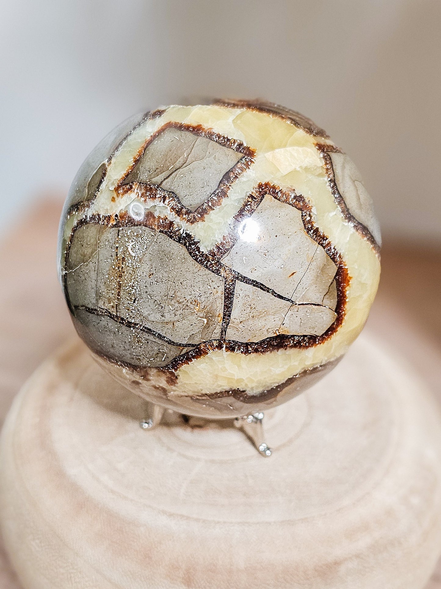 Fluorescent Septarian sphere symbolising grounding, balance, and hidden light within the Earth