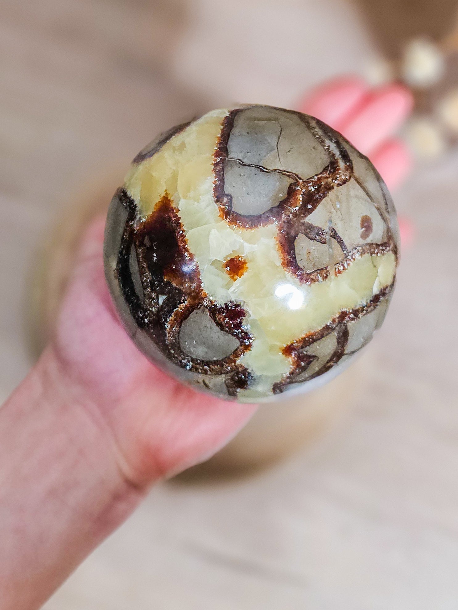 Close-up of Fluorescent Septarian sphere showing yellow Calcite veins and natural Aragonite patterns