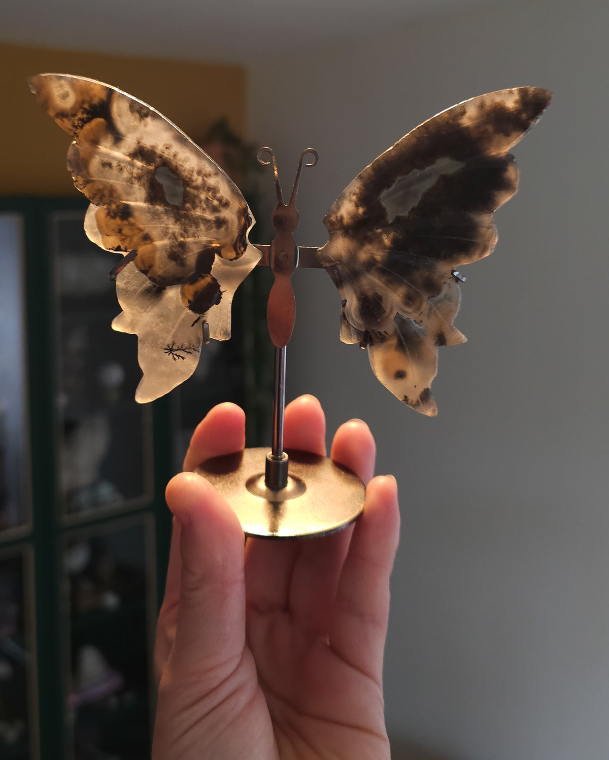 Fluorescent Volcano Agate butterfly wings with natural dendritic inclusions on a black metal stand, glowing green under UV light.