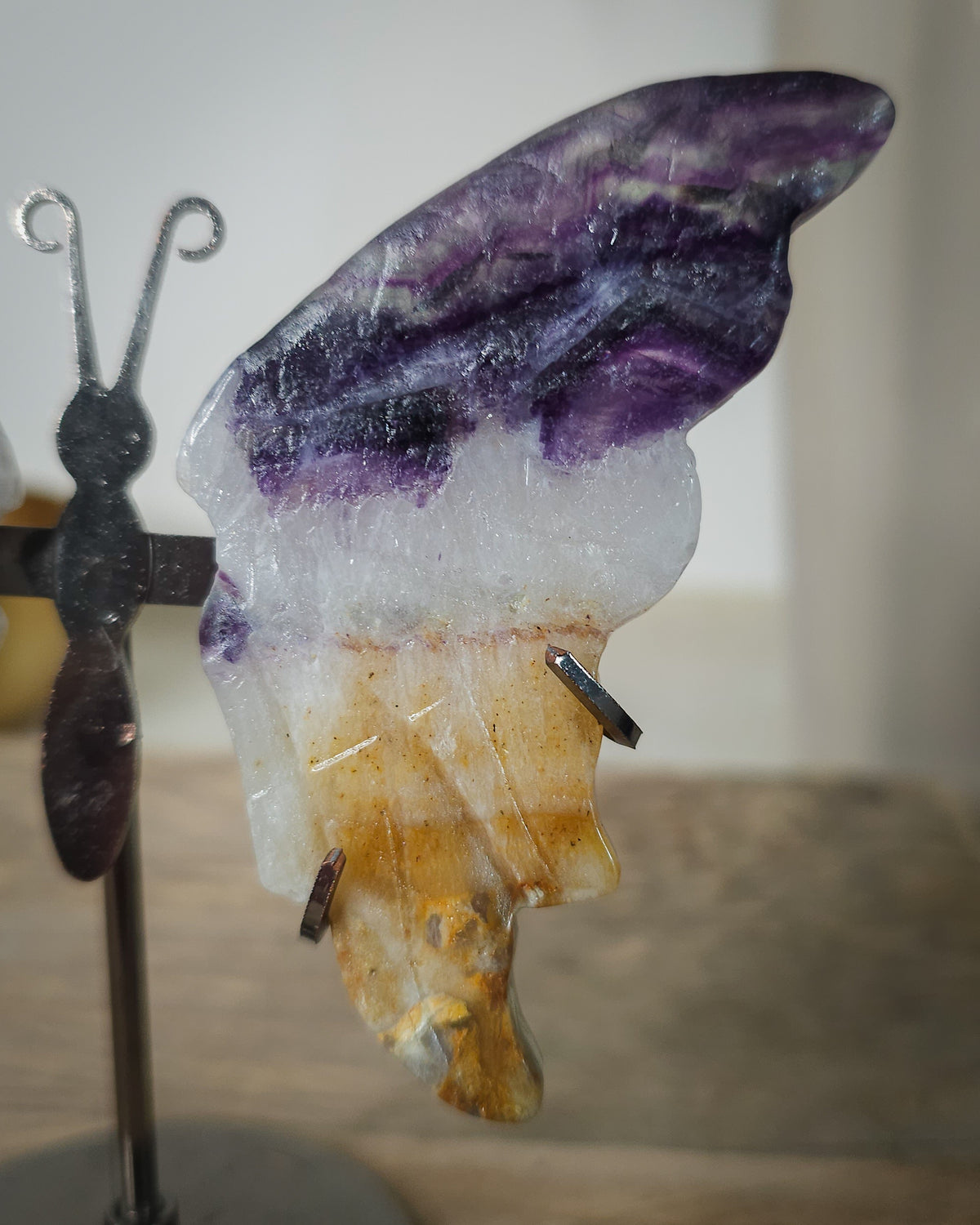 Fluorite butterfly wings on a black metal stand, with natural golden-brown iron staining.