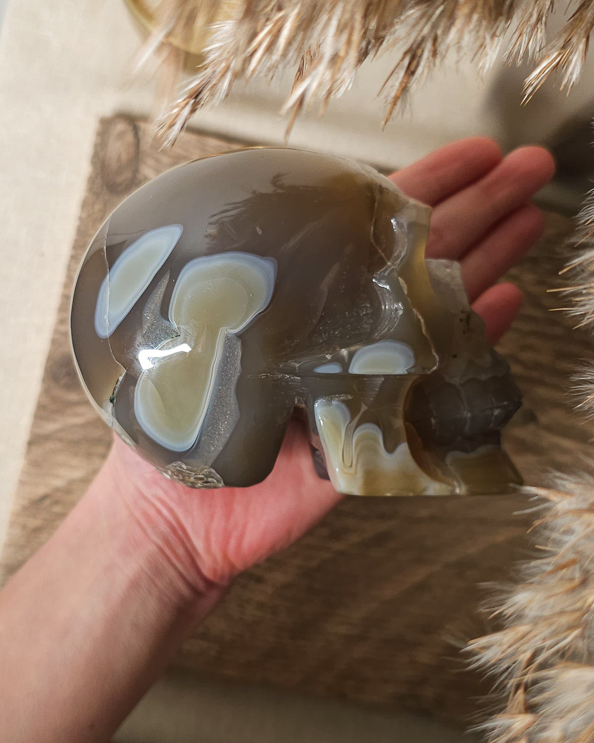 Large Druzy Agate skull carving with smoky grey and brown tones, natural white and pale blue banding, a sparkling quartz druzy cavity and tiny rainbow reflections in the crystals.