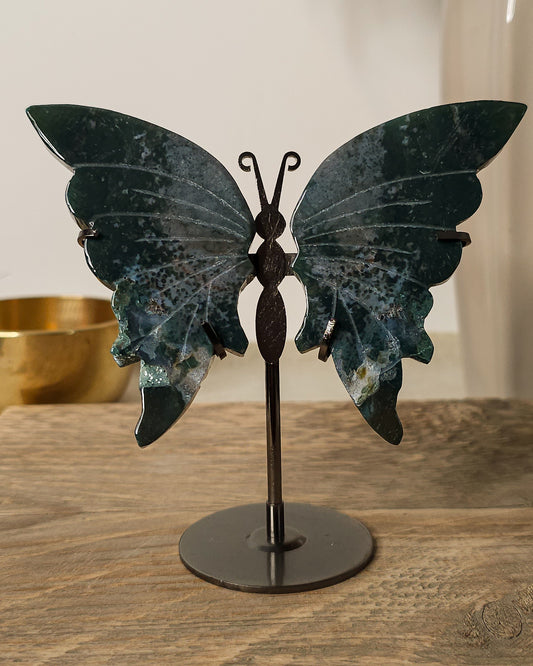 Jasper butterfly wings on a black metal stand, showing natural earthy patterns.
