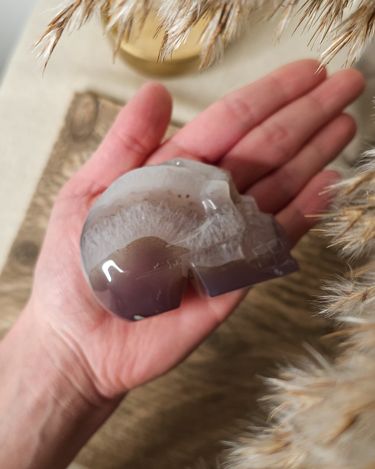 Druzy Agate crystal skull carving with translucent grey and lavender bands, deep purple areas, natural brown inclusions and a sparkling druzy crystal cavity on top.
