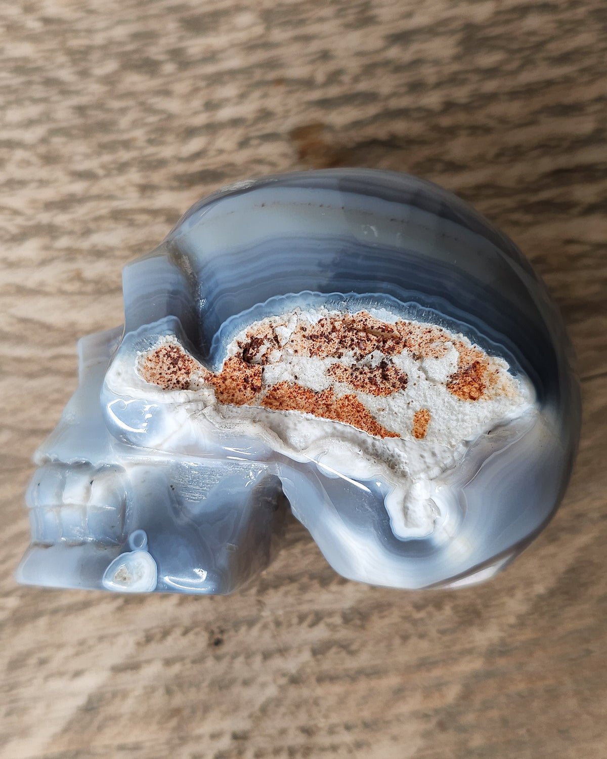 Blue Agate skull carving with layered pale blue and grey bands, a natural brown inclusion along the side and a sparkling druzy crystal cavity at the top.