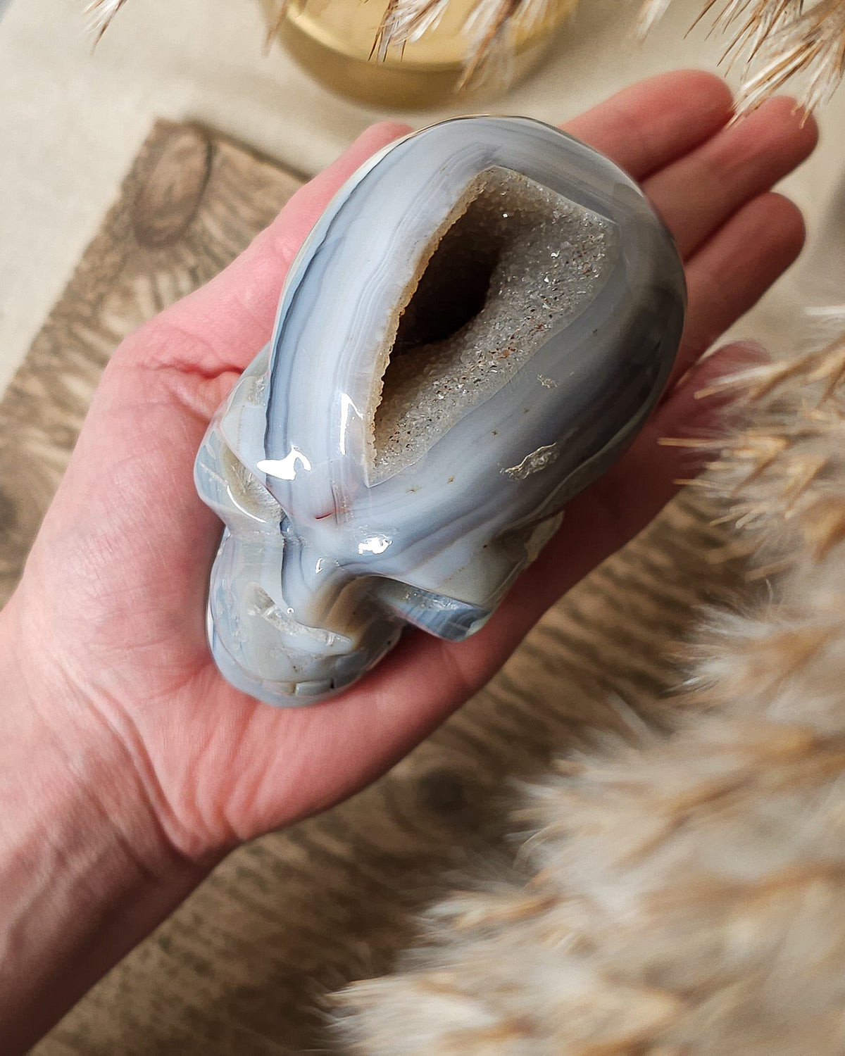Blue Agate skull carving with layered pale blue and grey bands, a natural brown inclusion along the side and a sparkling druzy crystal cavity at the top.