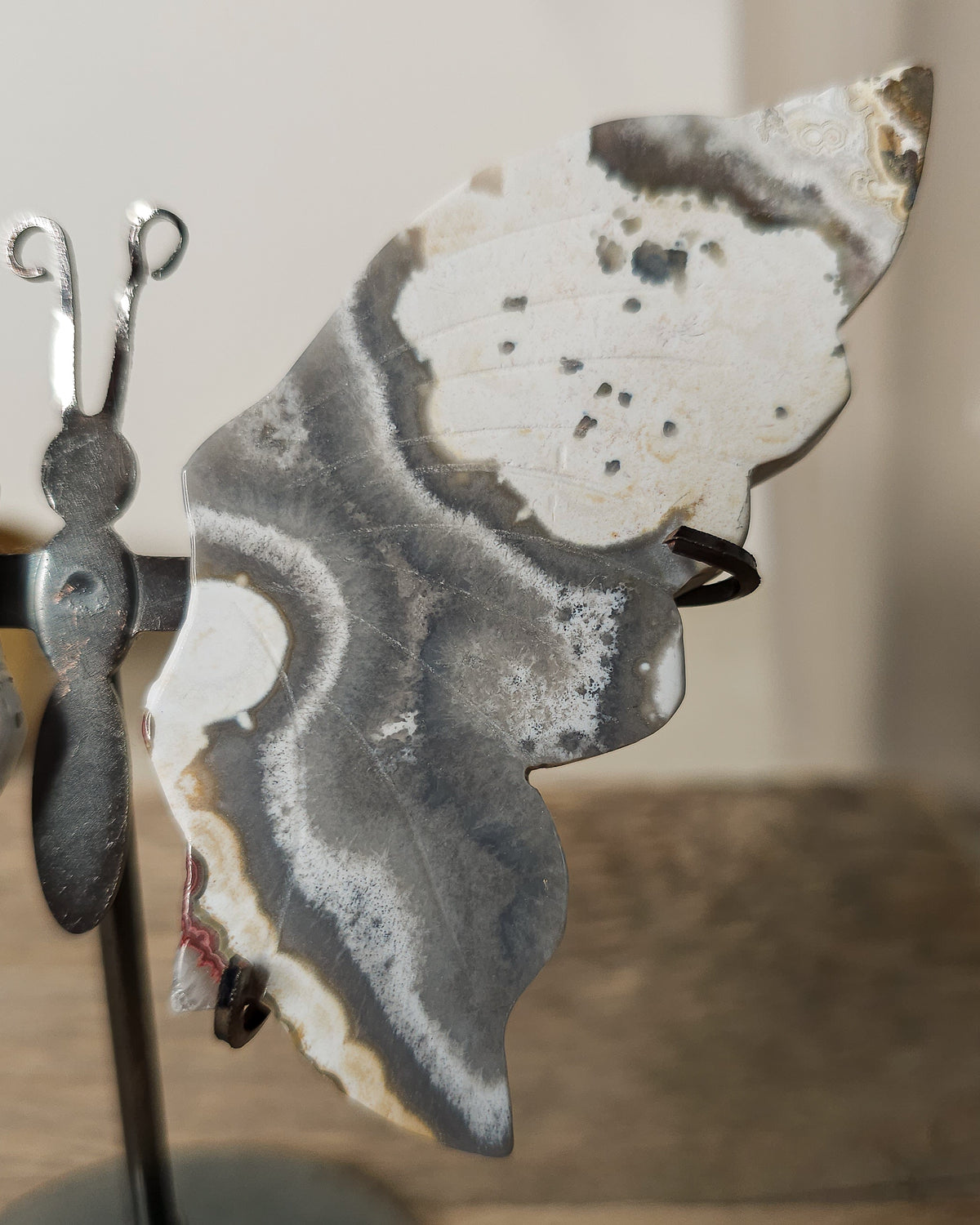 Grey and white Agate butterfly wings displayed on a metal stand, featuring soft natural banding and cloudy patterns.