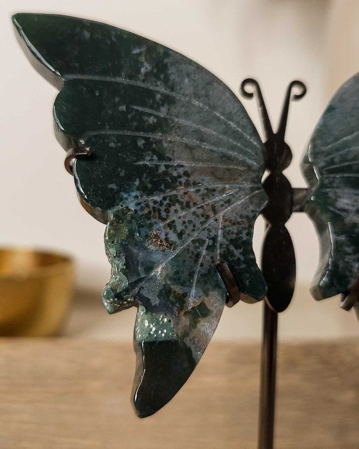 Jasper butterfly wings on a black metal stand, showing natural earthy patterns.