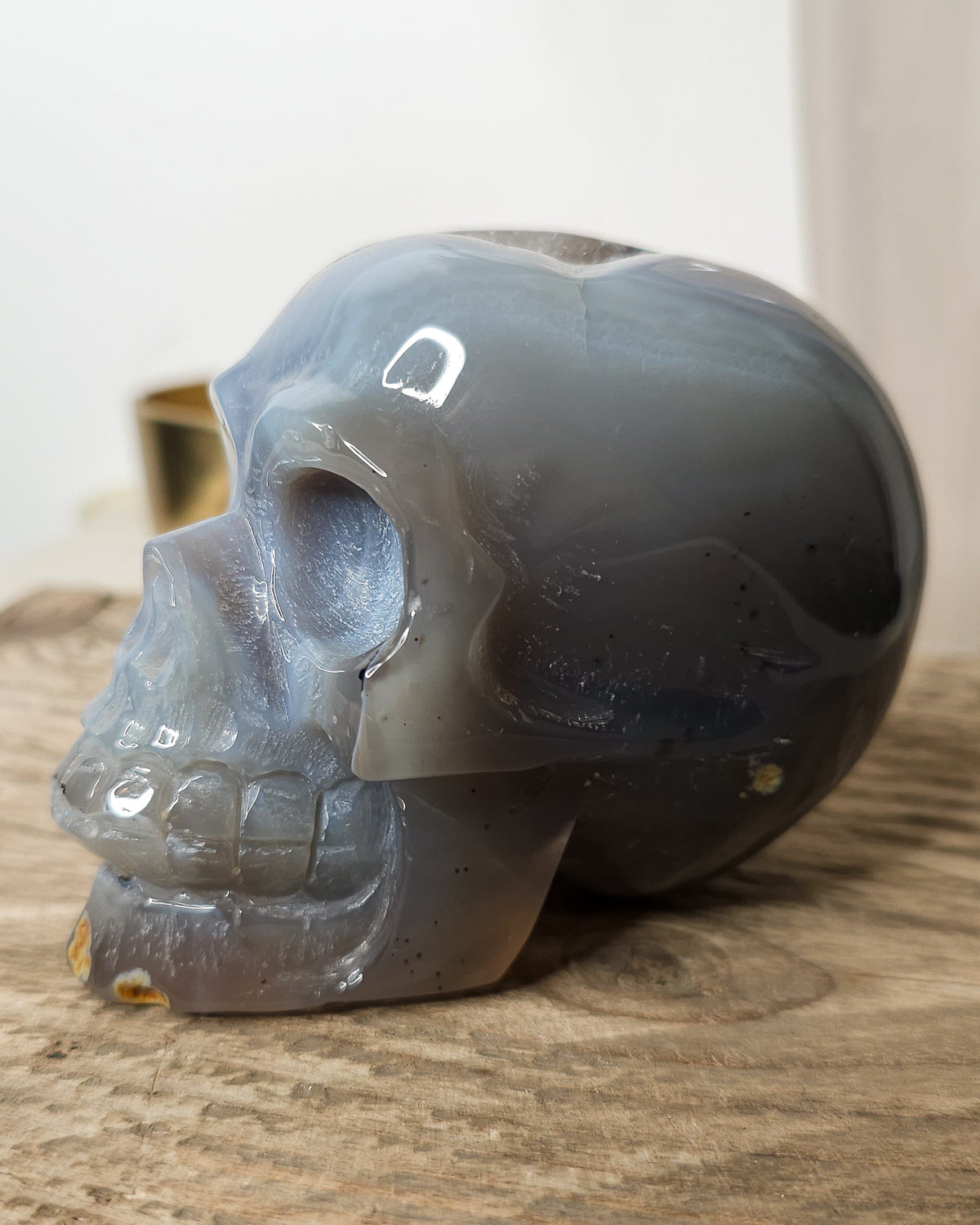 Blue Agate skull carving with layered pale blue and grey bands, a natural brown inclusion along the side and a sparkling druzy crystal cavity at the top.