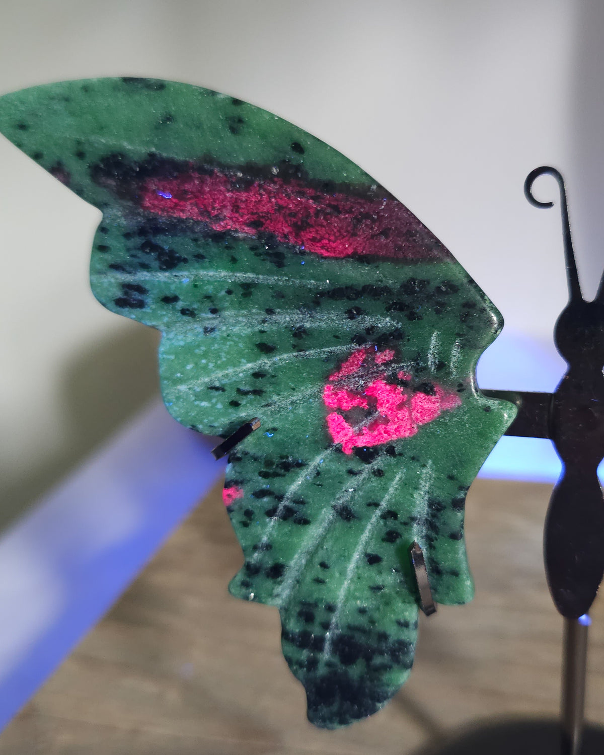 Ruby in Zoisite butterfly wings with fluorescent Ruby inclusions on a black metal stand, glowing vivid pink-red under UV light.. 