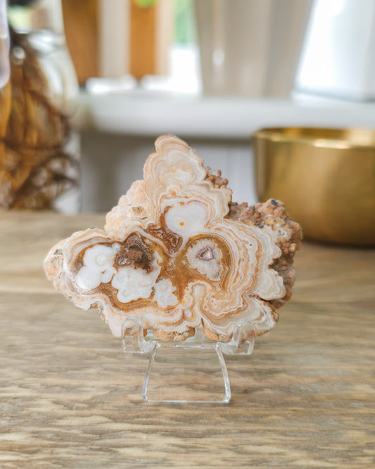 Phosphorescent Chocolate Calcite Slab