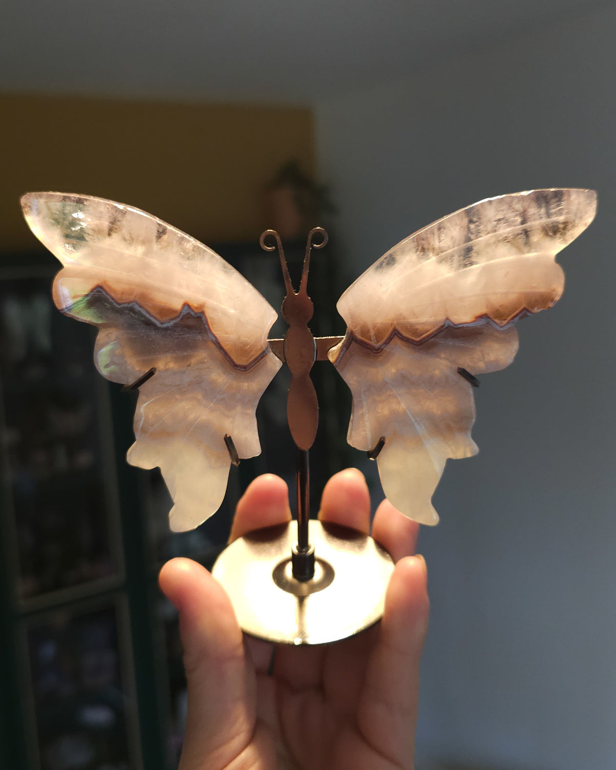 Banded Agate & Quartz | Crystal Butterfly Wings On The Stand