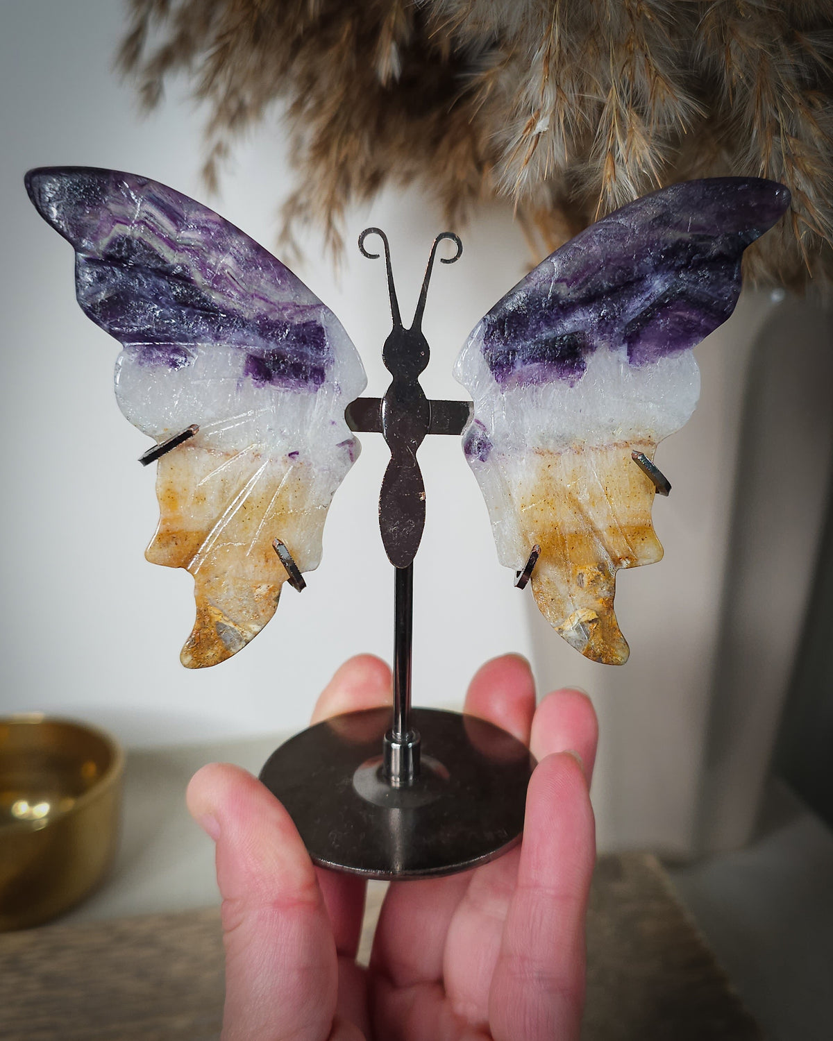 Fluorite butterfly wings on a black metal stand, with natural golden-brown iron staining.