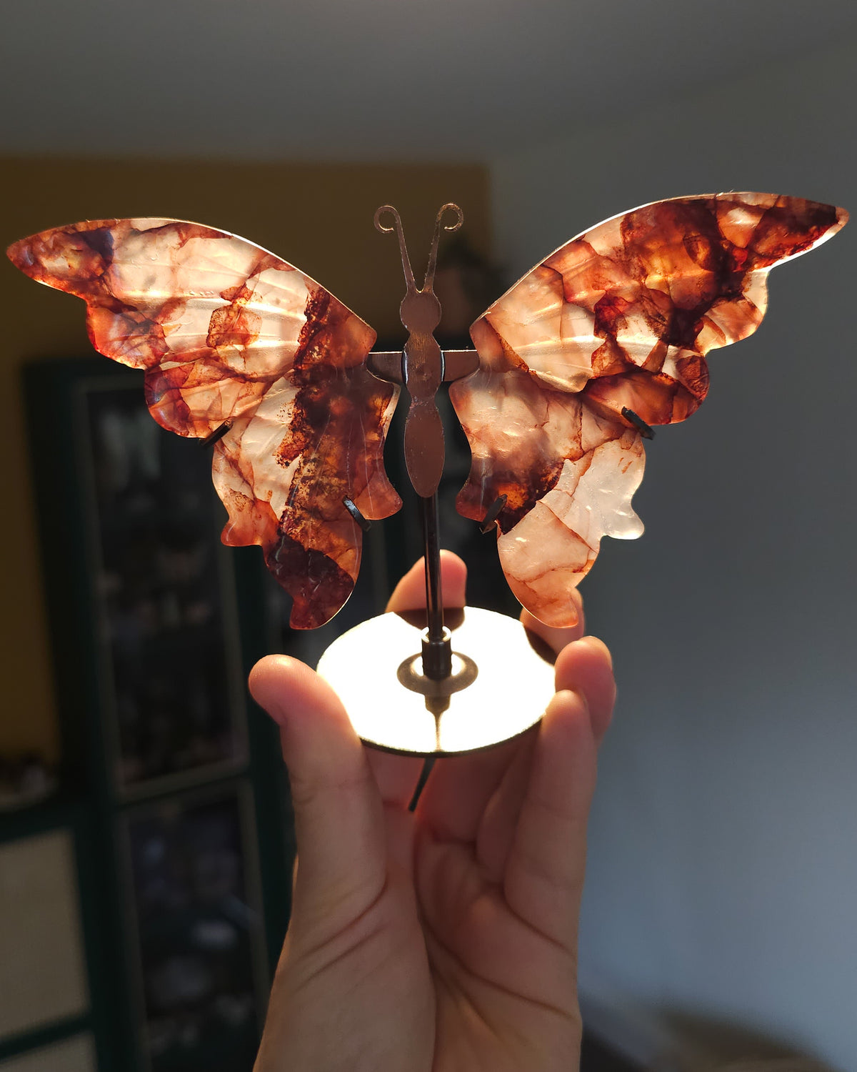 Fire Quartz / Red Hematoid Quartz Butterfly Wings On The Stand