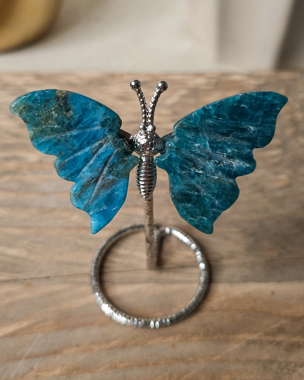 Blue Apatite butterfly carving on a decorative silver-tone metal stand, featuring rich ocean-blue and teal colouring with natural mineral patterns and carved wing details.
