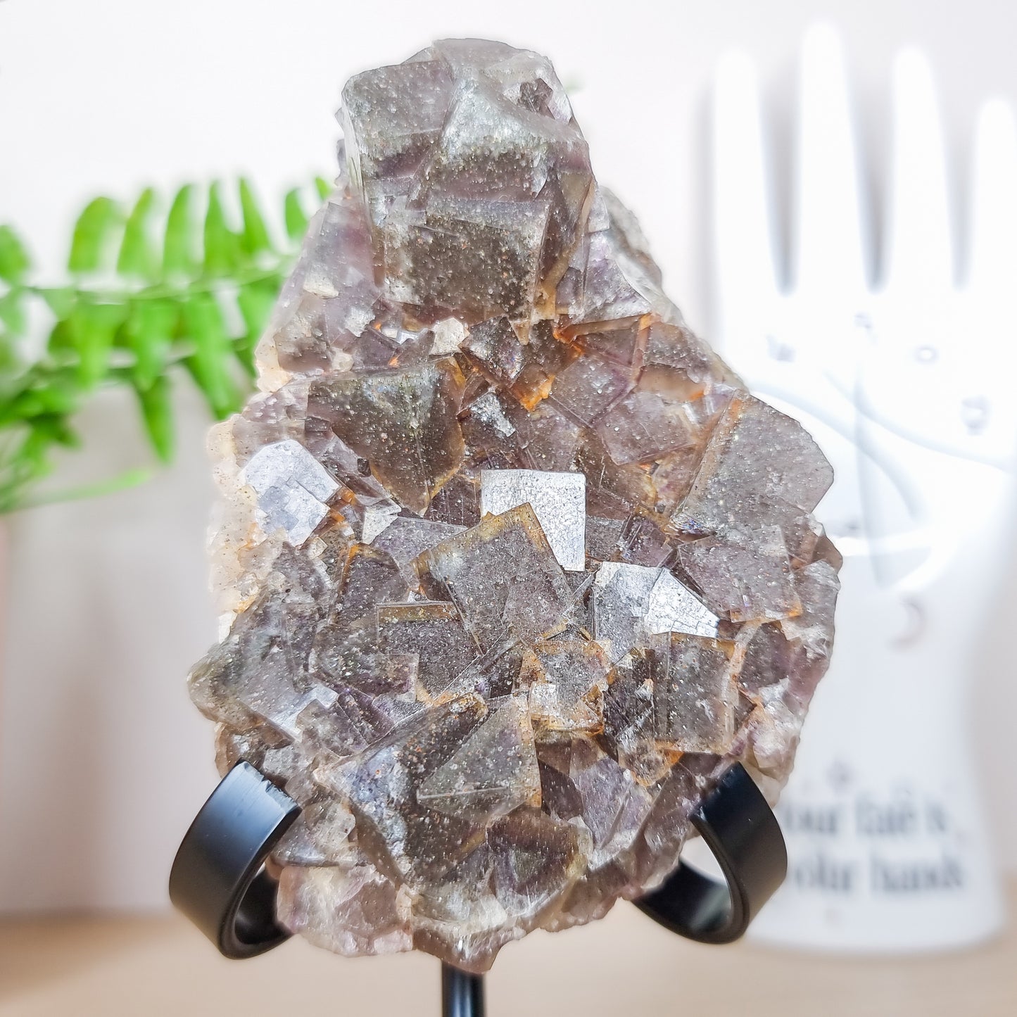 Black, Purple and Yellow Fluorite Specimen with Pyrite Inclusions