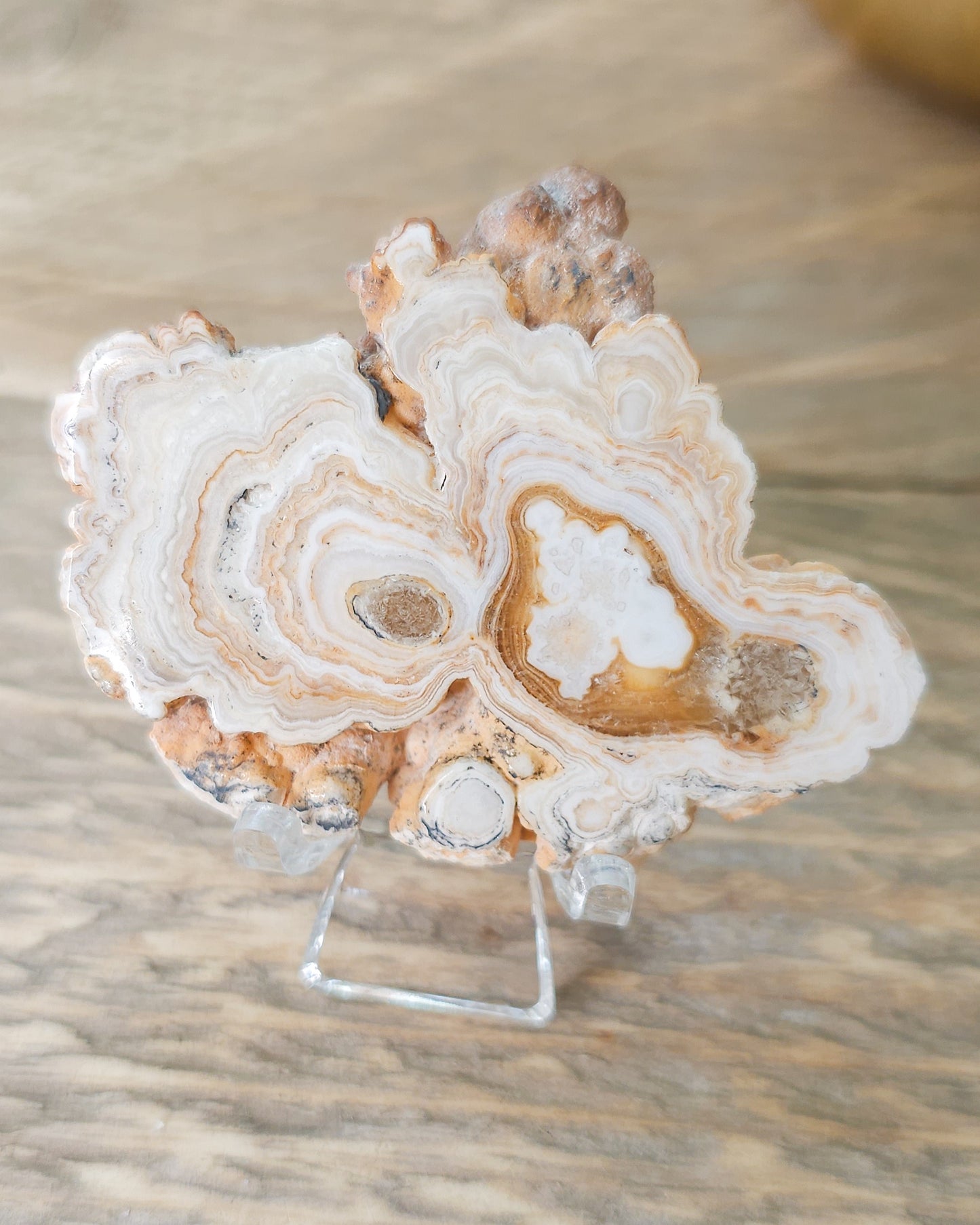 Phosphorescent Chocolate Calcite Slab