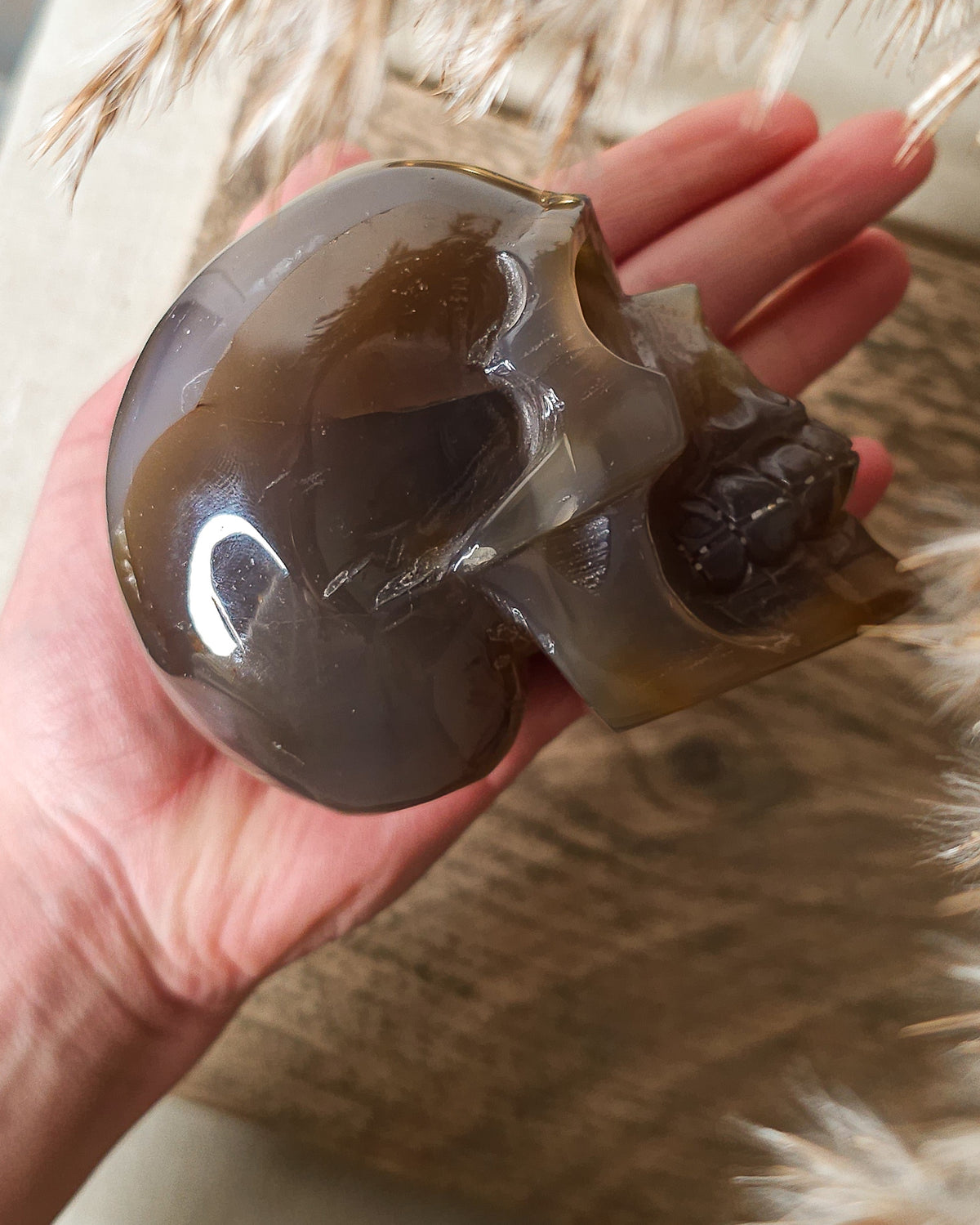 Druzy Agate | Crystal Skull Carving