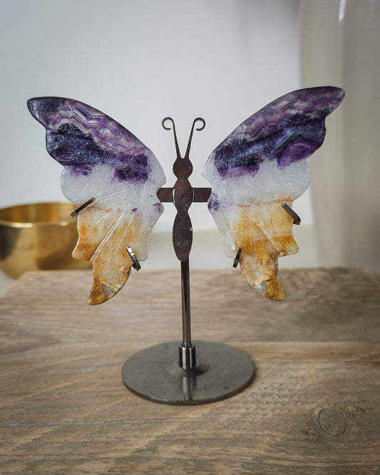 Fluorite butterfly wings on a black metal stand, with natural golden-brown iron staining.