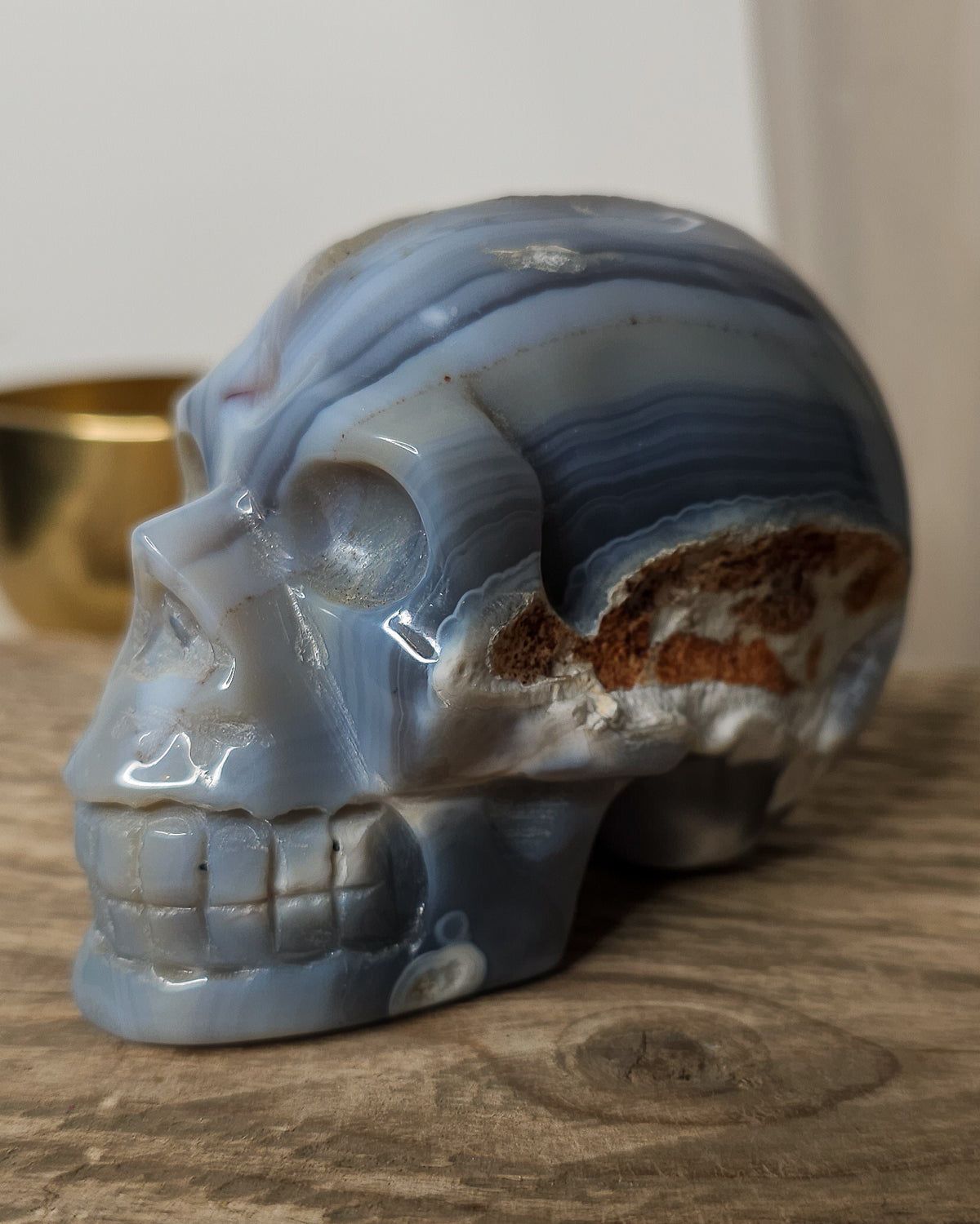 Blue Agate skull carving with layered pale blue and grey bands, a natural brown inclusion along the side and a sparkling druzy crystal cavity at the top.