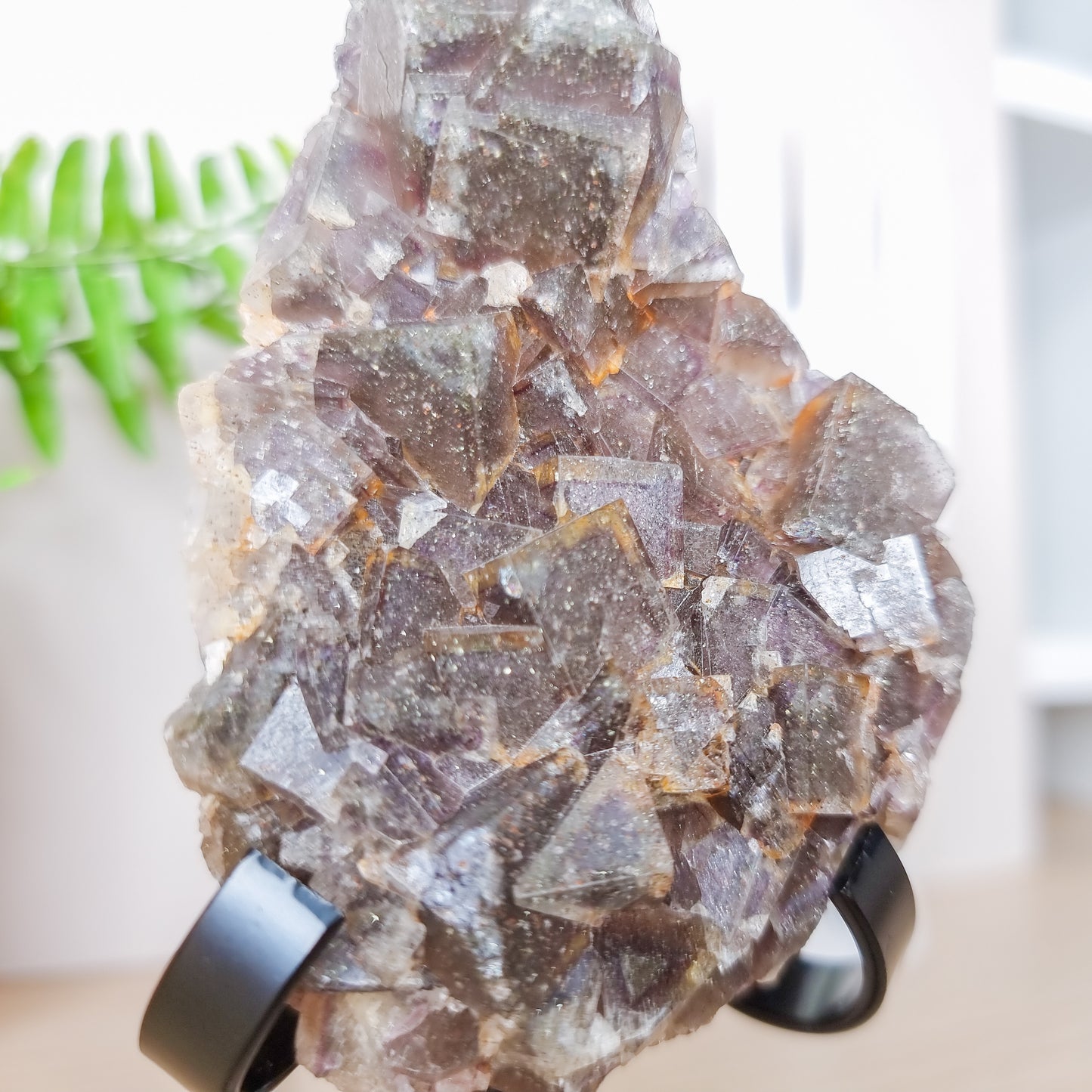 Black, Purple and Yellow Fluorite Specimen with Pyrite Inclusions