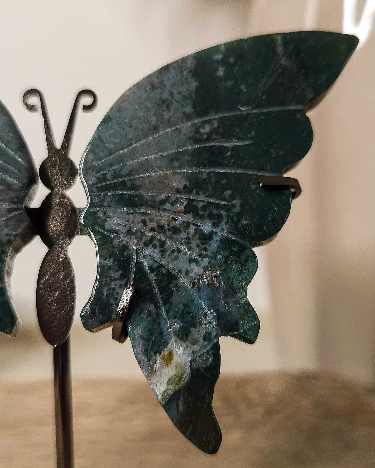 Jasper butterfly wings on a black metal stand, showing natural earthy patterns.