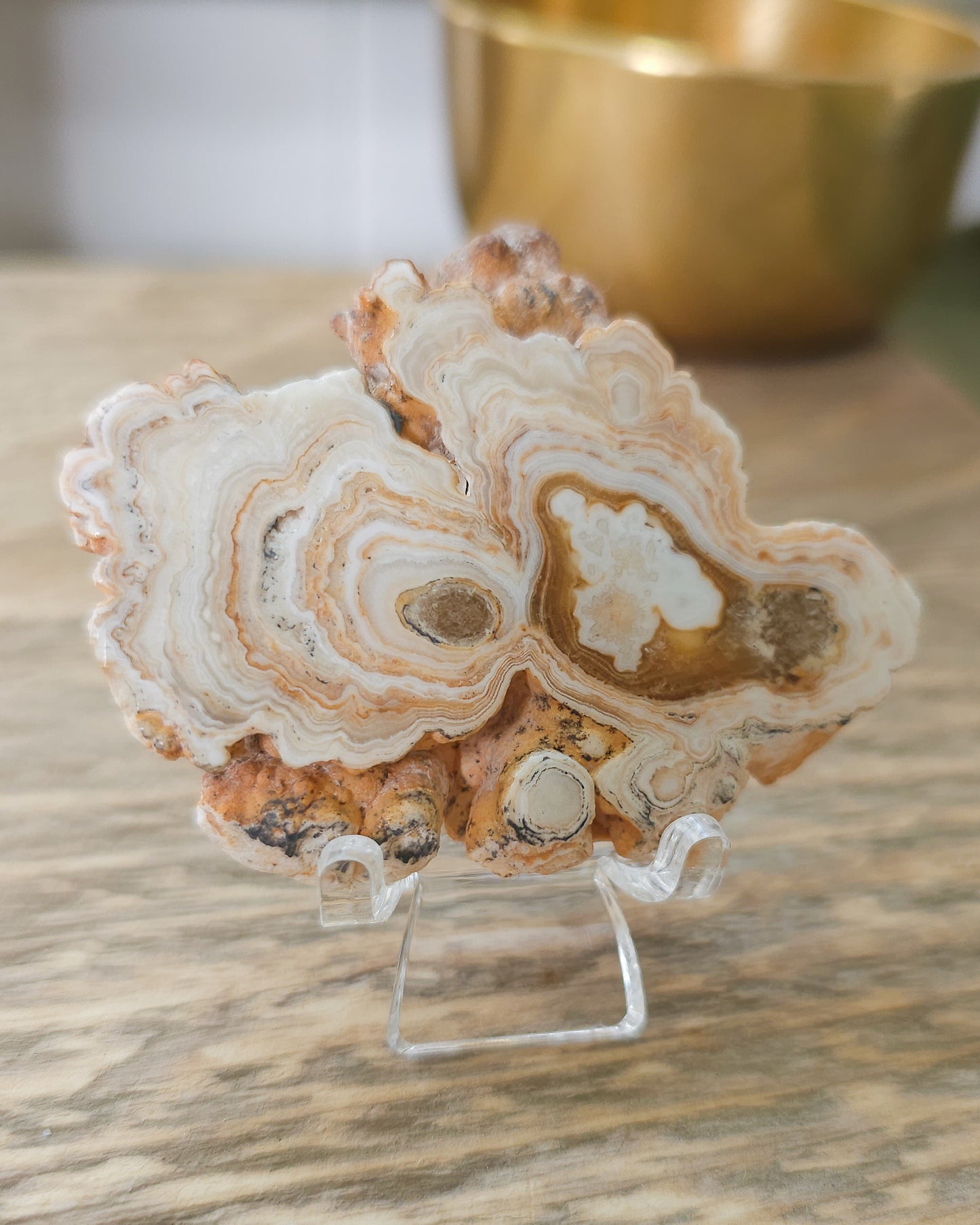 Phosphorescent Chocolate Calcite Slab