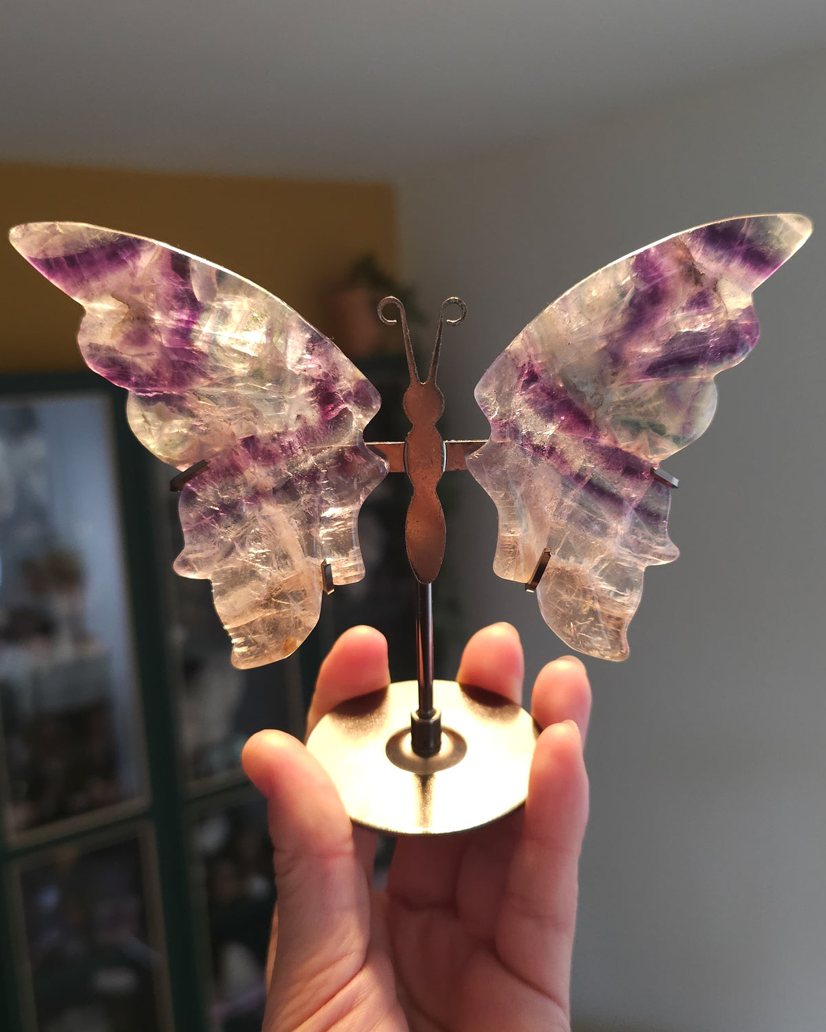 Fluorite | Crystal Butterfly