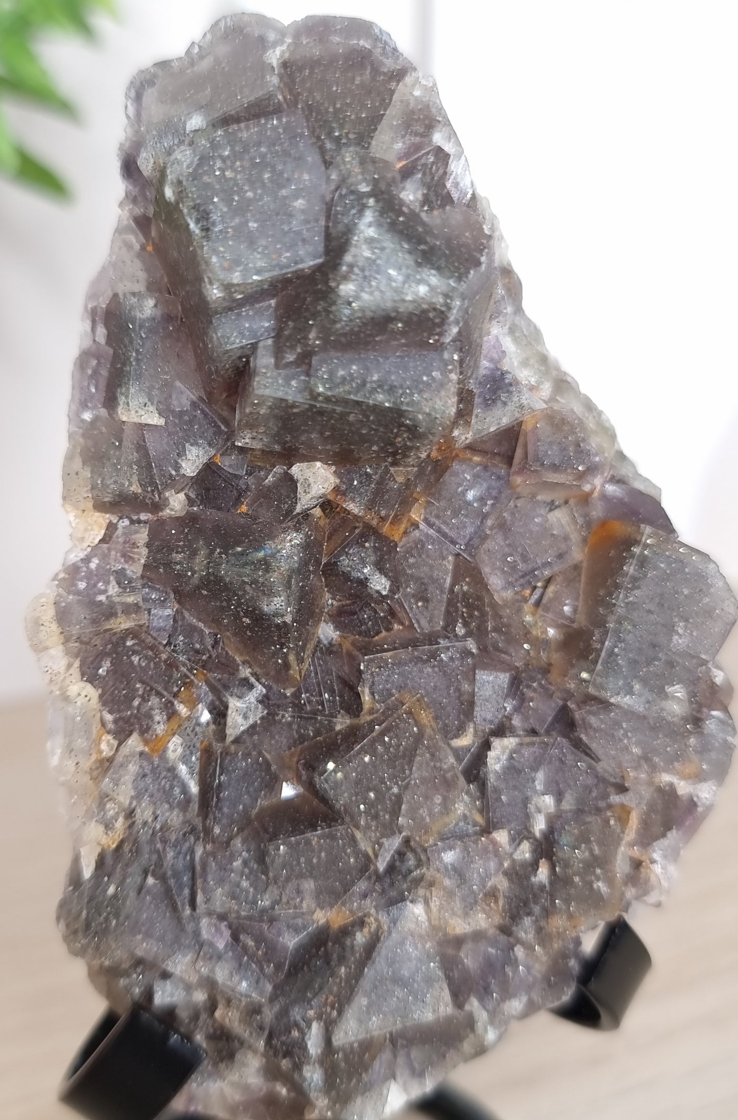 Black, Purple and Yellow Fluorite Specimen with Pyrite Inclusions