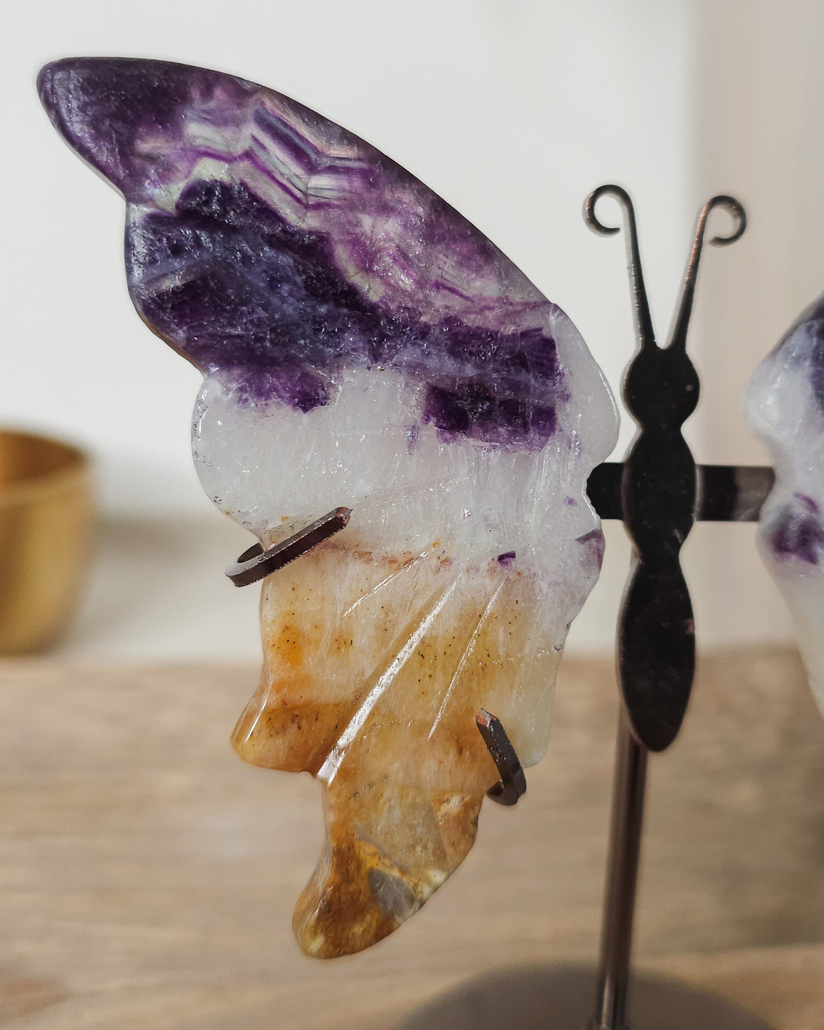 Fluorite butterfly wings on a black metal stand, with natural golden-brown iron staining.