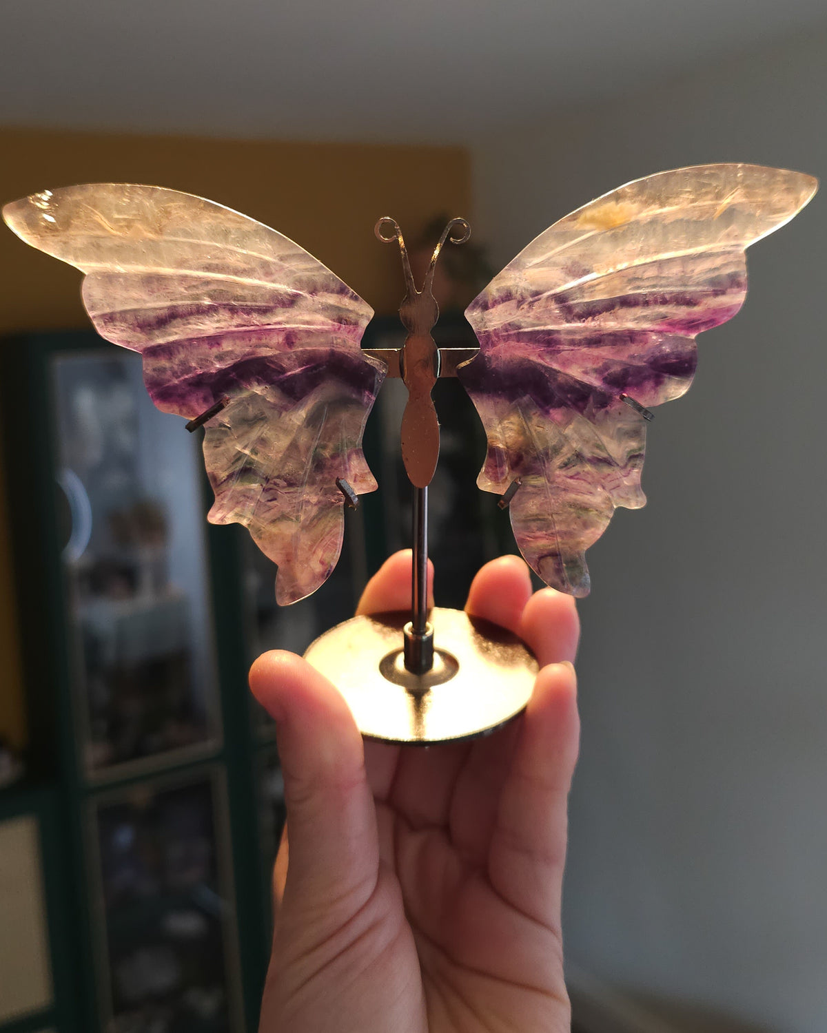 Fluorite crystal butterfly wings on a stand, with purple, green and golden tones. A beautiful display piece and meaningful gift for new beginnings.
