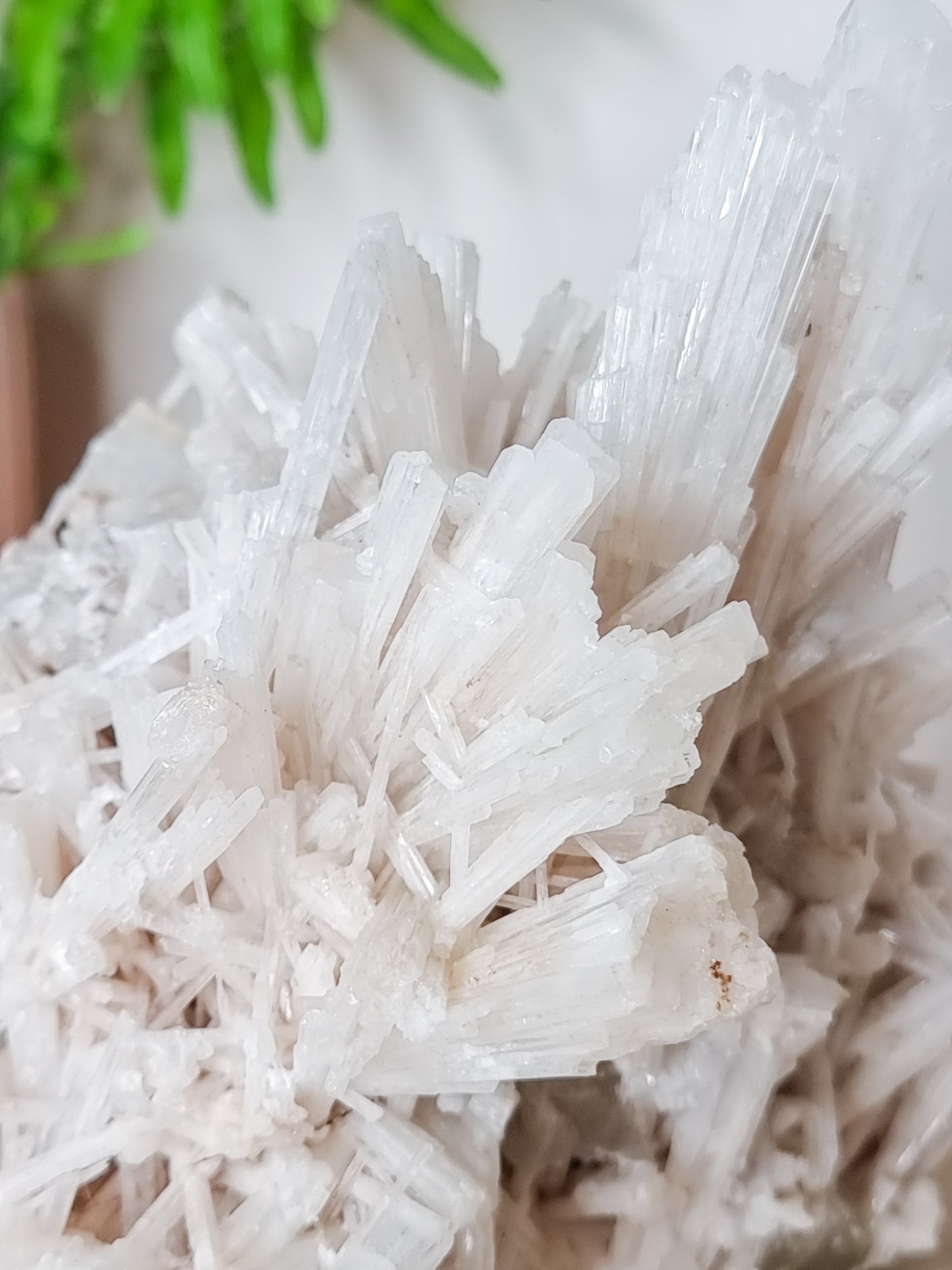 Scolecite with Apophylite Specimen