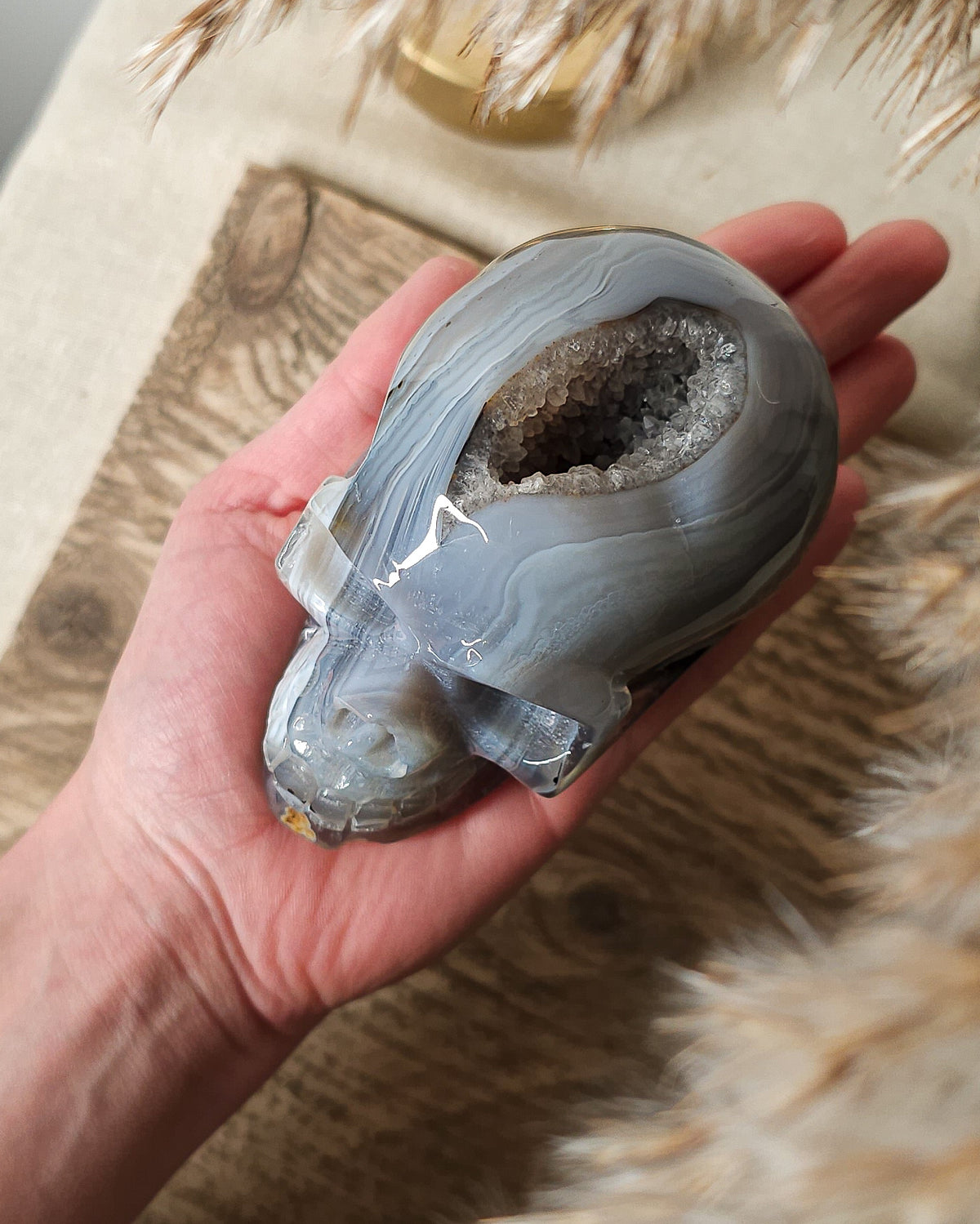 Blue Agate skull carving with layered pale blue and grey bands, a natural brown inclusion along the side and a sparkling druzy crystal cavity at the top.