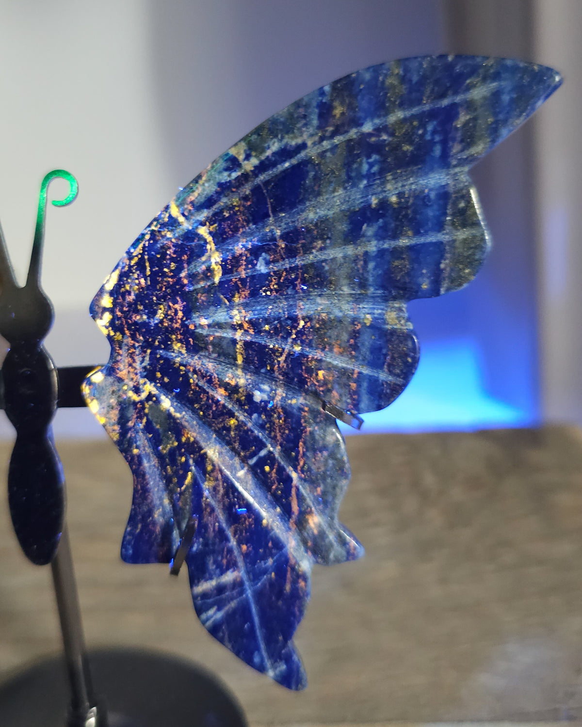 Lapis Lazuli Butterfly Wings On The Stand