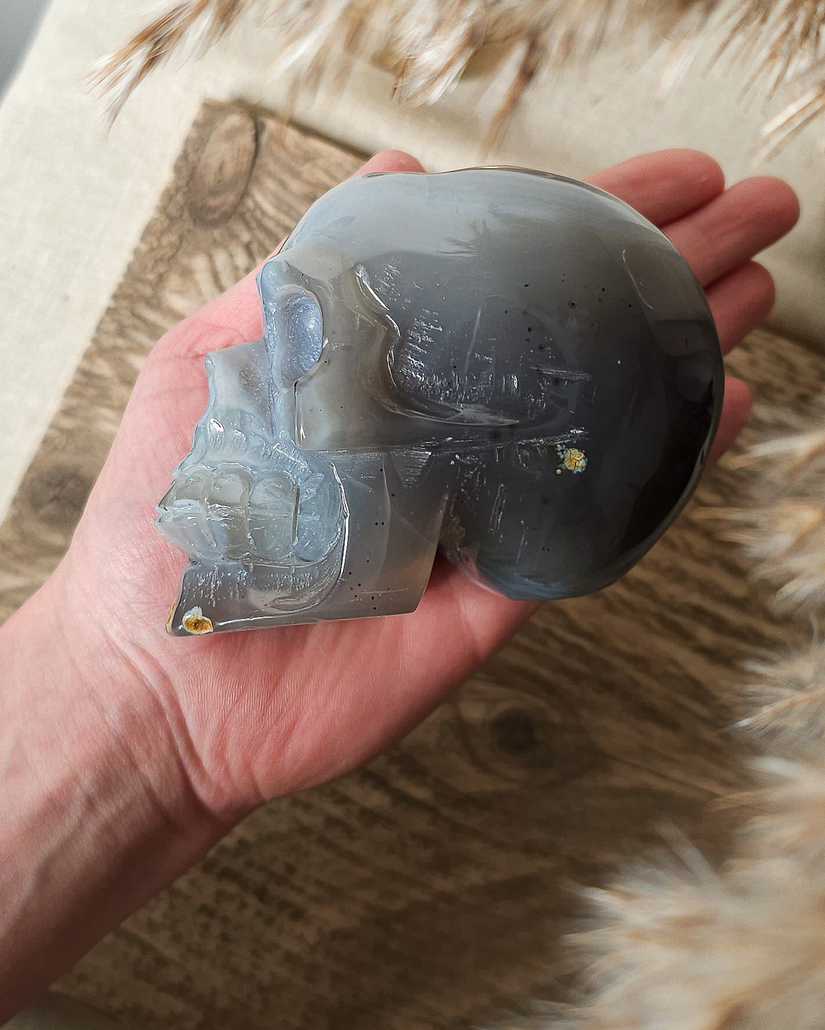 Blue Agate skull carving with layered pale blue and grey bands, a natural brown inclusion along the side and a sparkling druzy crystal cavity at the top.