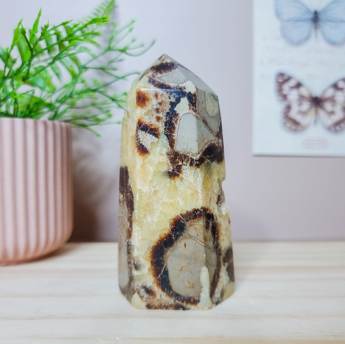 Septarian Tower